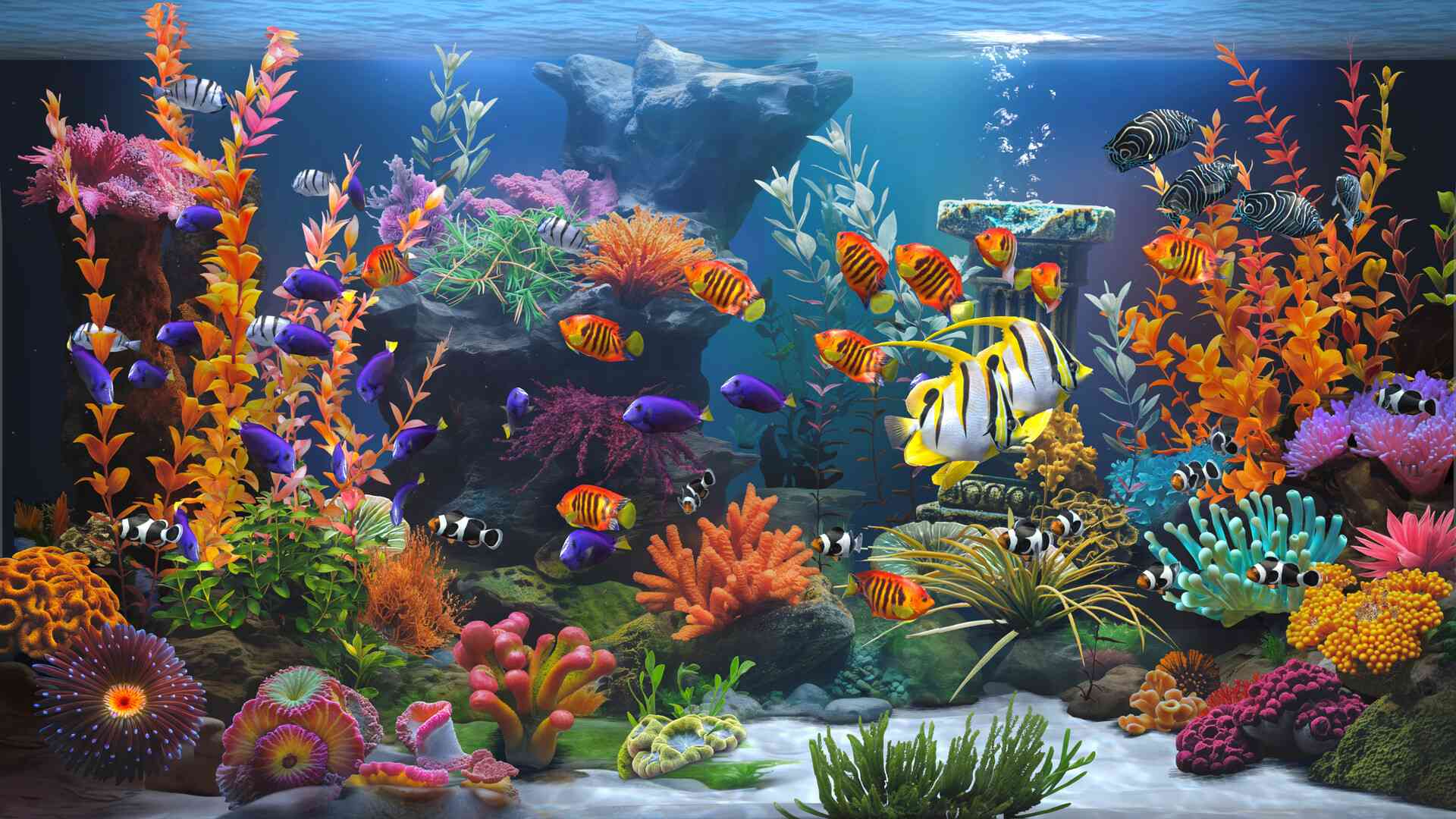 禅意水族馆/Zen Aquarium