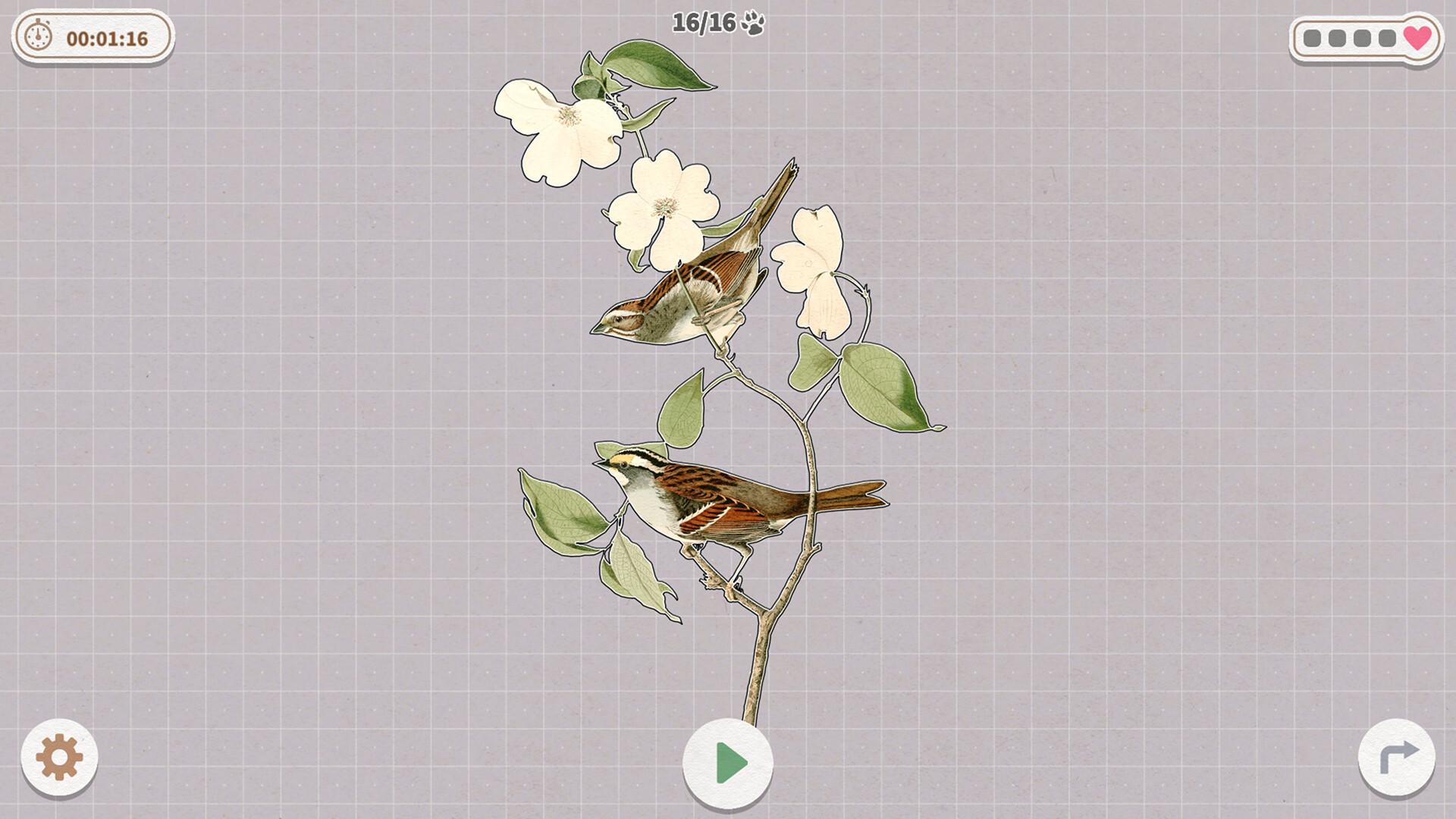 挤在一起的鸟鸟/Birds Huddled Together