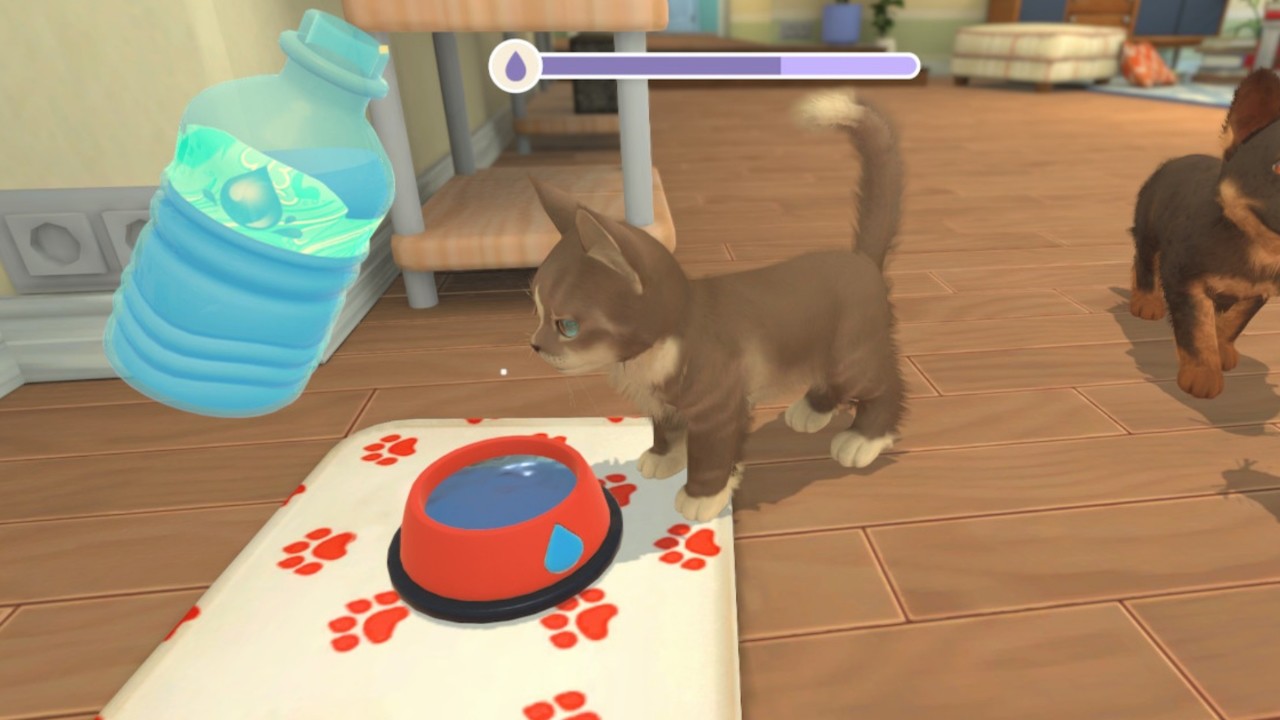 我的世界:小狗和小猫/My Universe - Puppies & Kittens