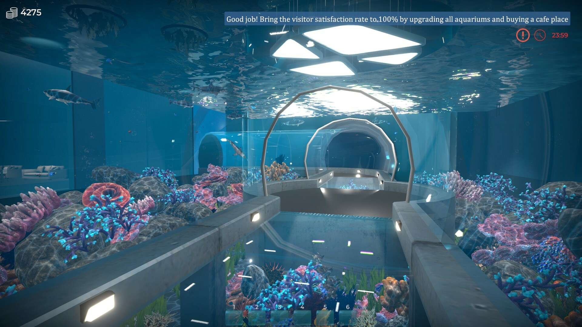Aquarist - 建造水族馆,养鱼,发展你的事业!