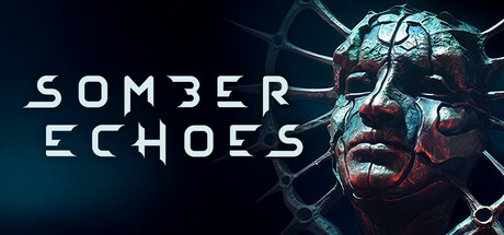 沉寂回响/Somber Echoes