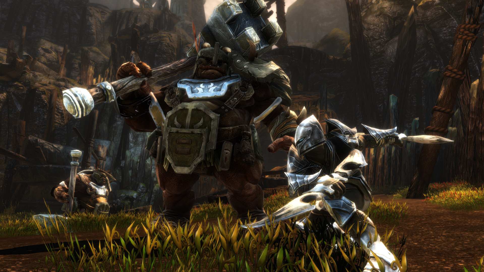 阿玛拉王国:惩罚重制版/Kingdoms of Amalur: Re-Reckoning_1