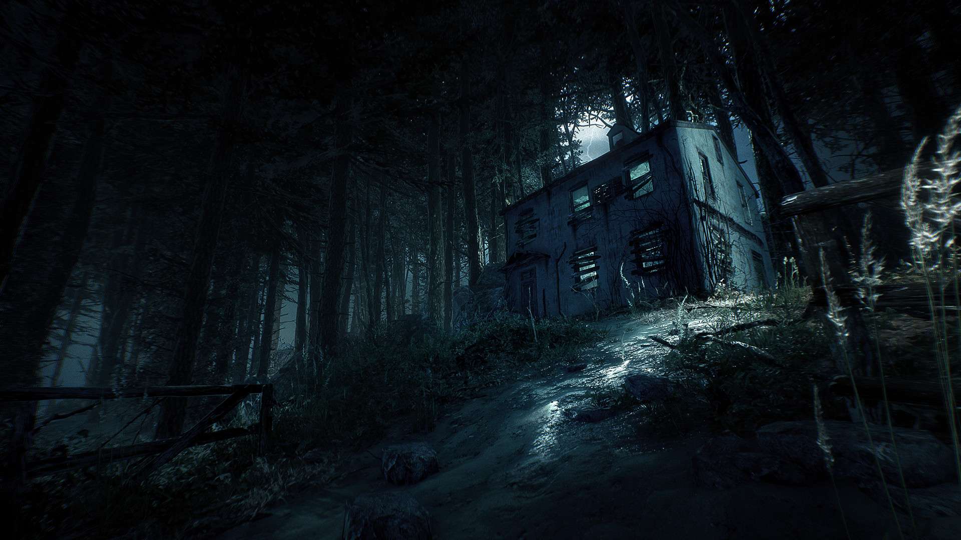 布莱尔女巫/Blair Witch_5
