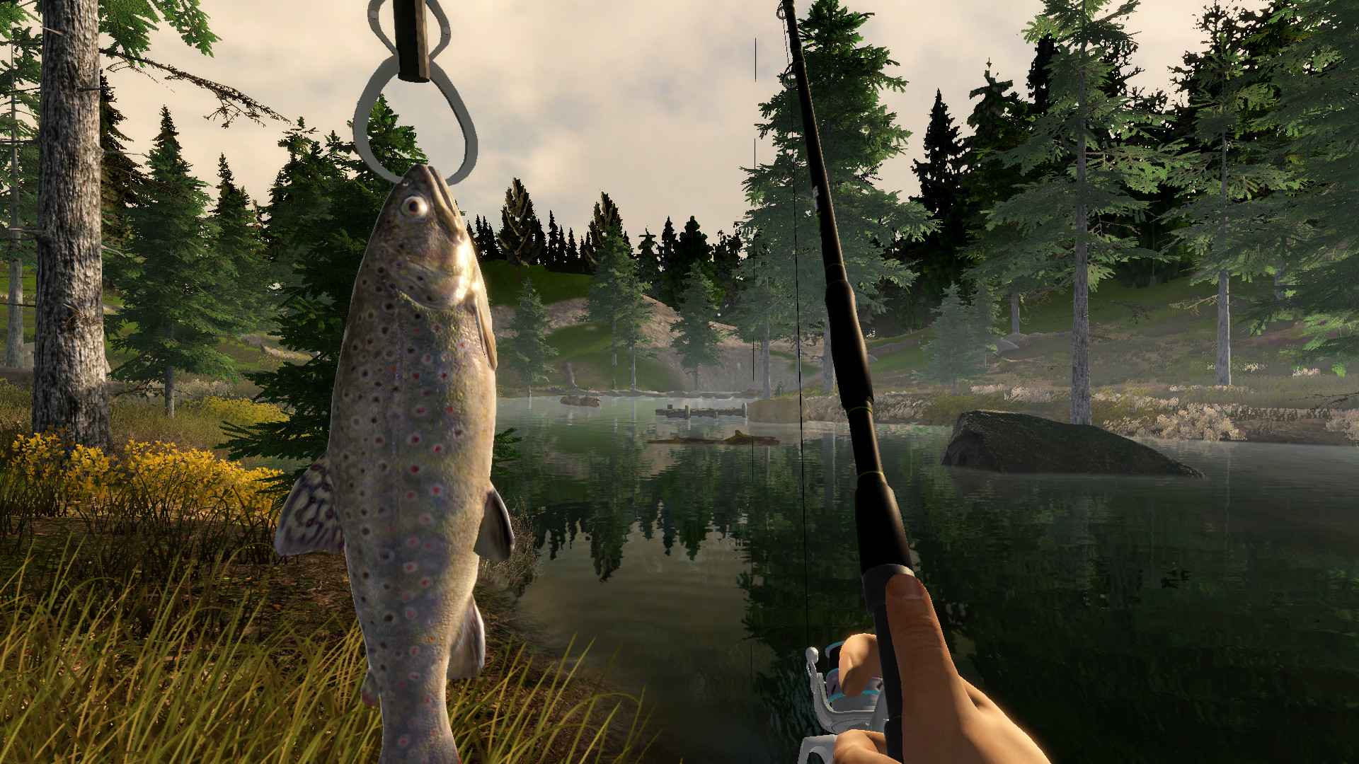 钓鱼大冒险/Fishing Adventure_0