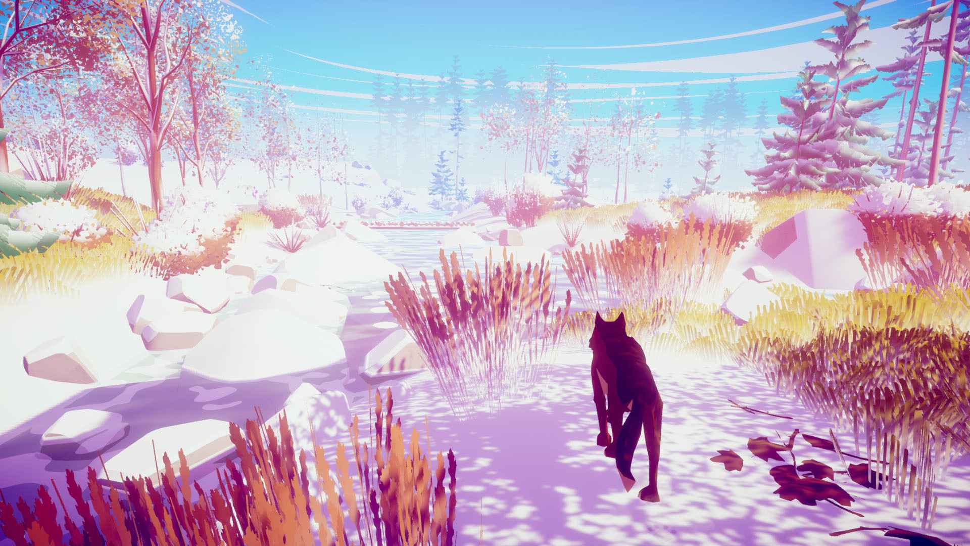 我的狼:桌面野生宠物/MY WOLF - Desktop Wild Pet_2