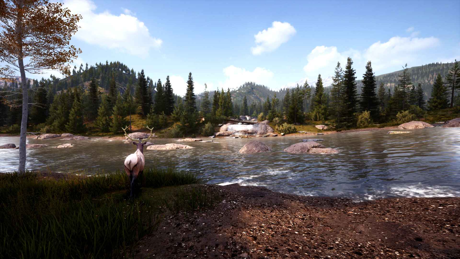 模拟狩猎2/Hunting Simulator 2_3