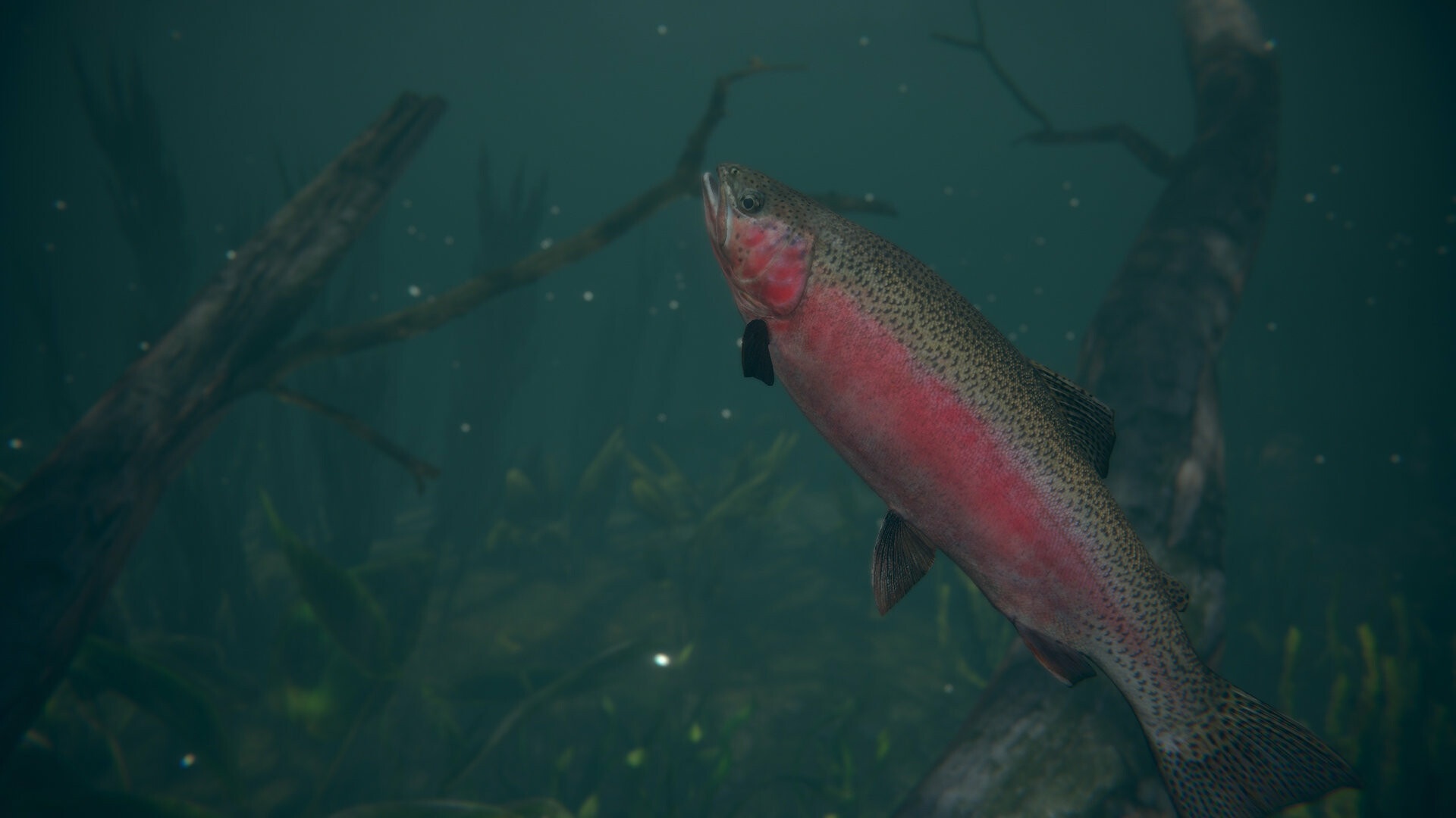 终极钓鱼模拟器2/Ultimate Fishing Simulator 2_0