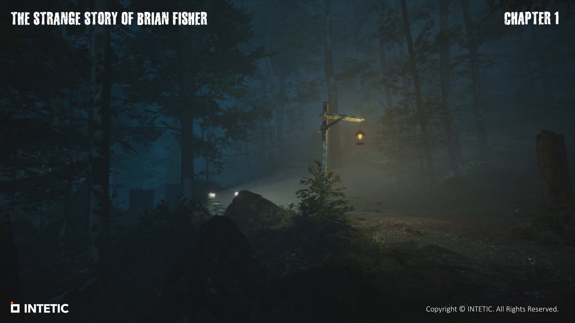 布莱恩费舍尔的奇异故事/The Strange Story Of Brian Fisher_2