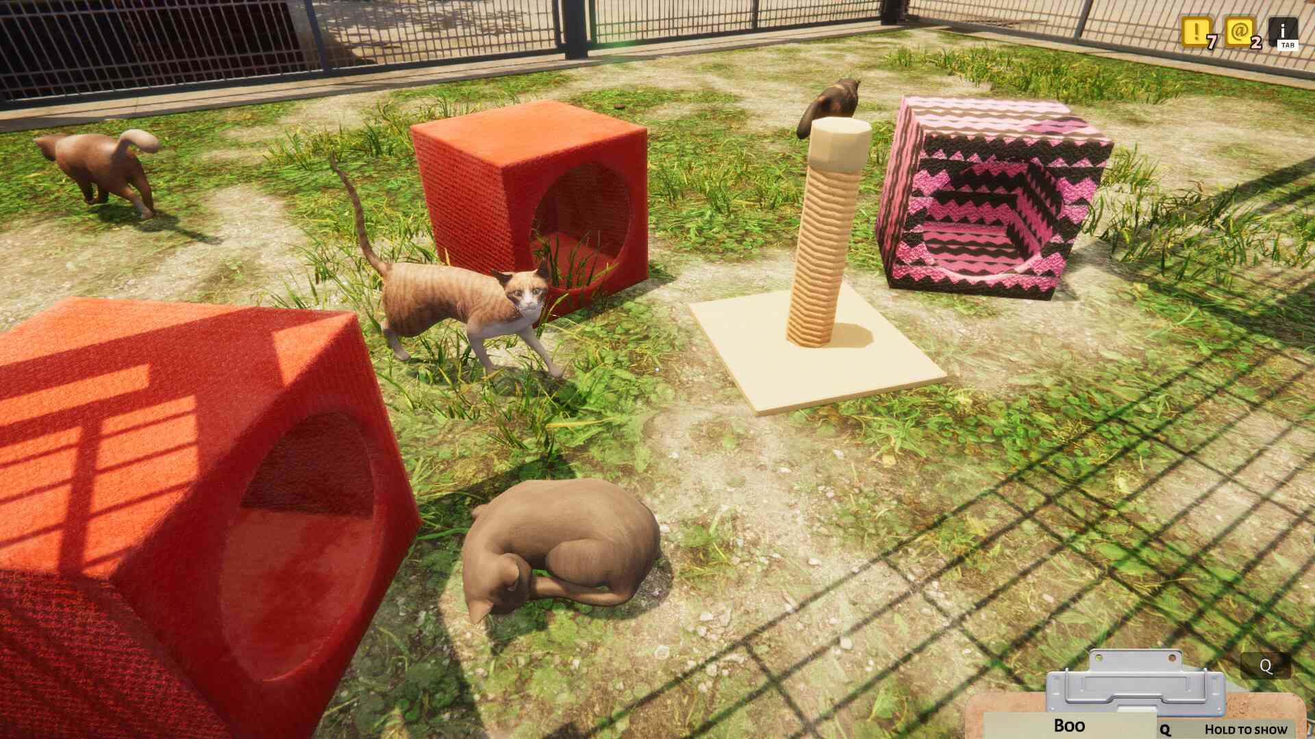 动物收容所/Animal Shelter_3