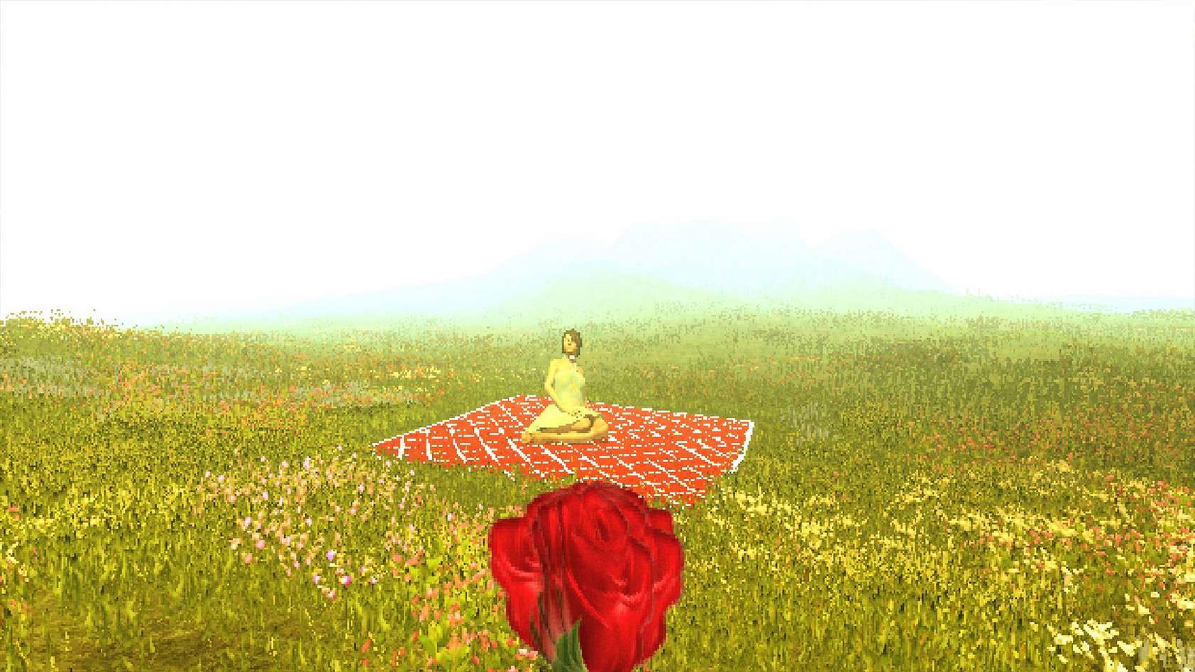金色的光芒/Golden Light_1