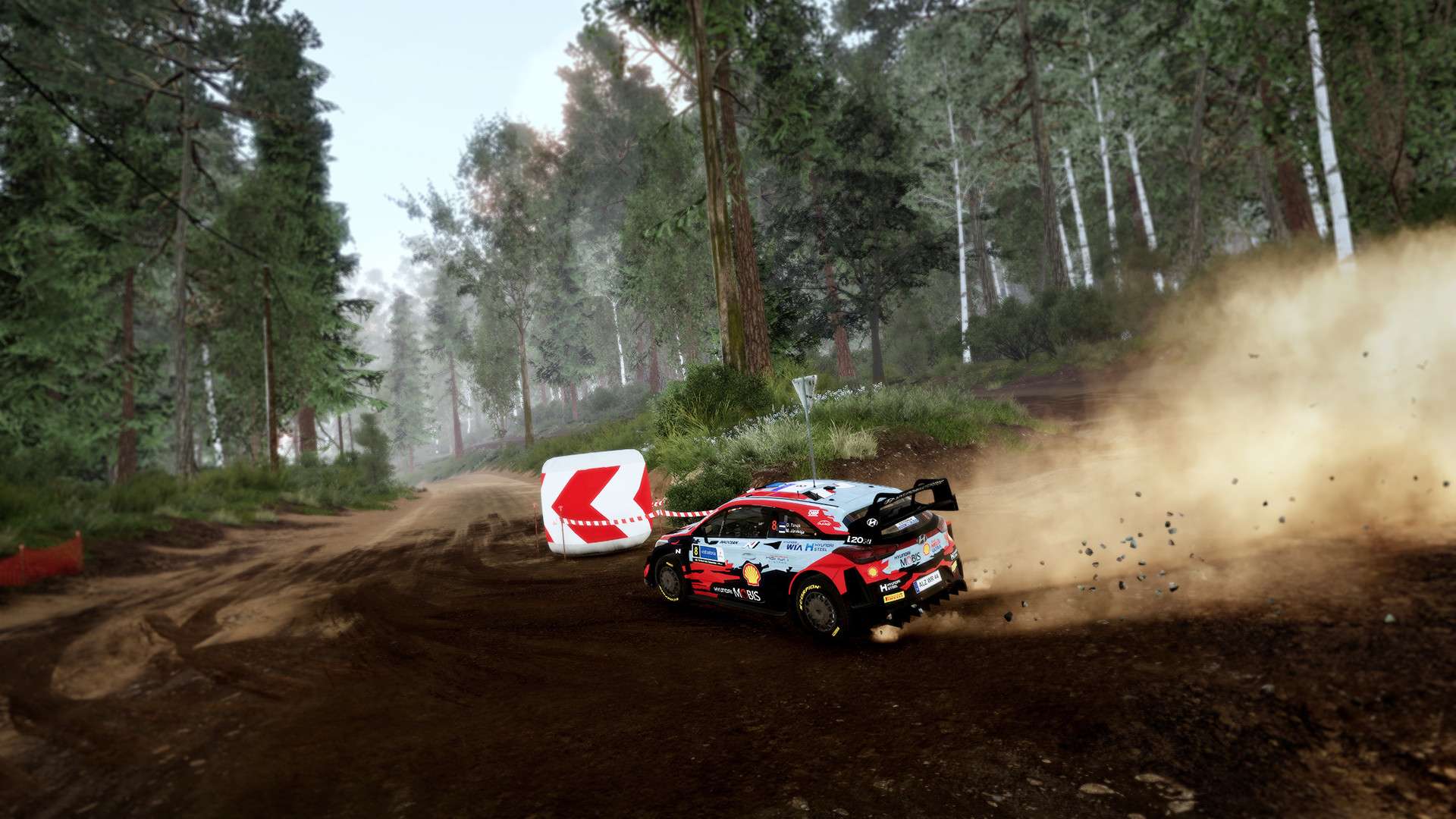 世界汽车拉力锦标赛10/WRC 10 FIA World Rally Championship_4
