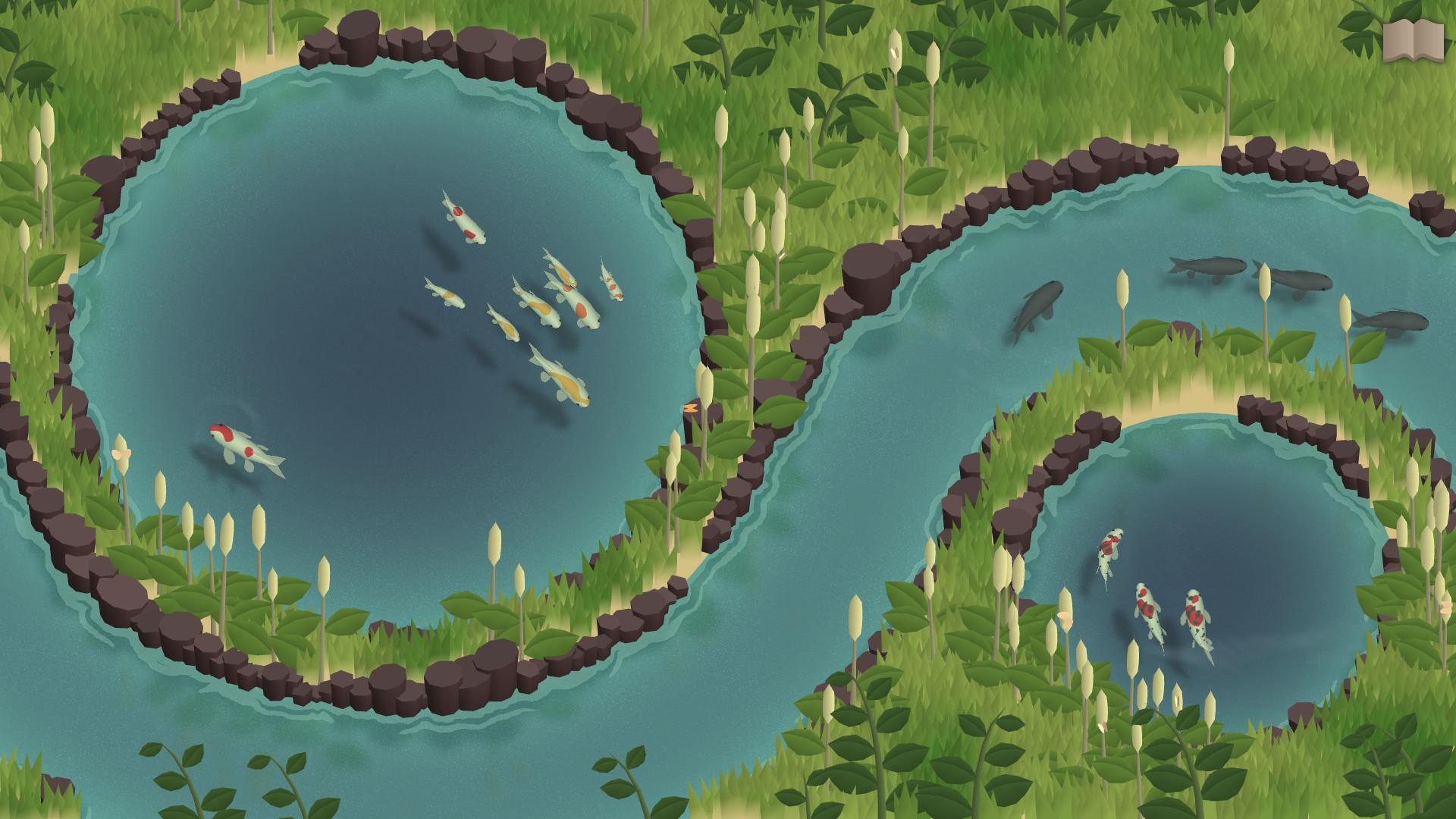锦鲤养殖场/Koi Farm_0