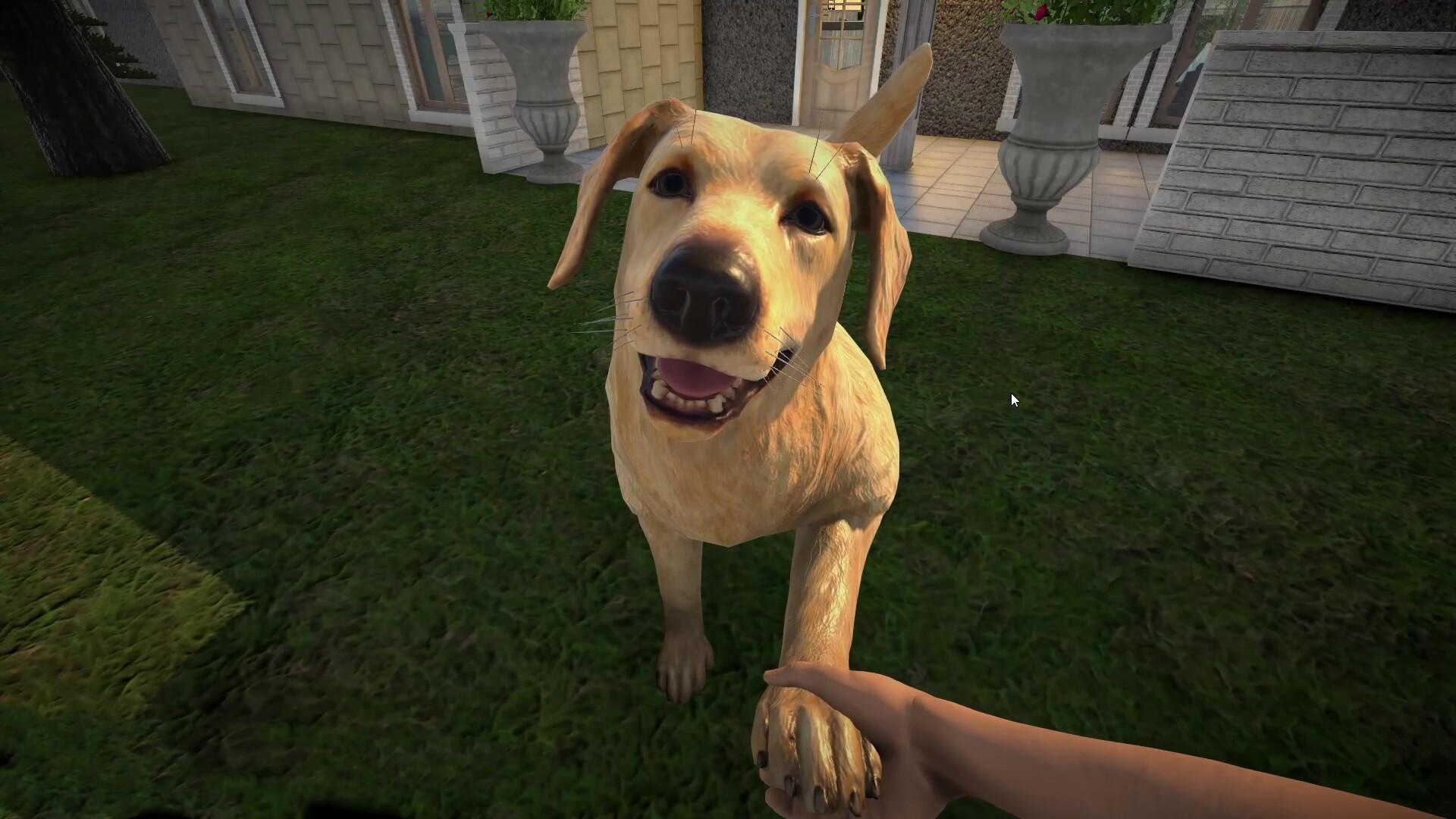 宠物旅馆/Pets Hotel_0