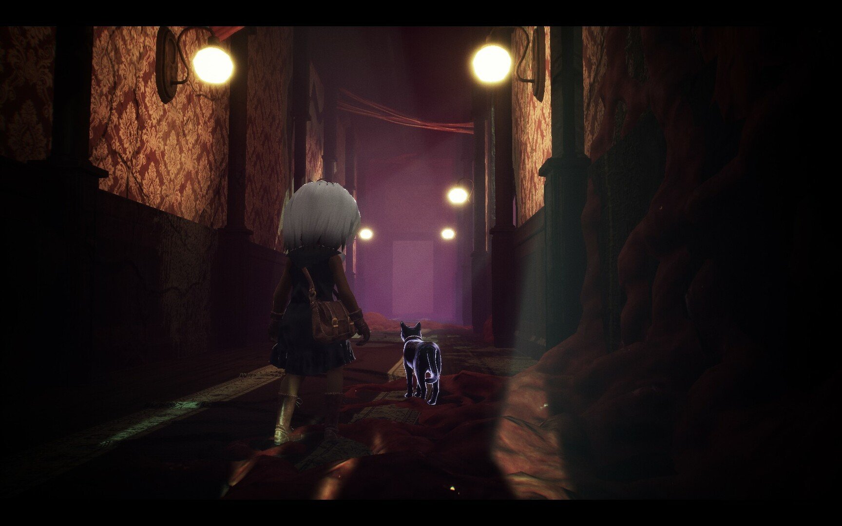 光:黑猫与失忆症女孩/LIGHT:Black Cat & Amnesia Girl_1
