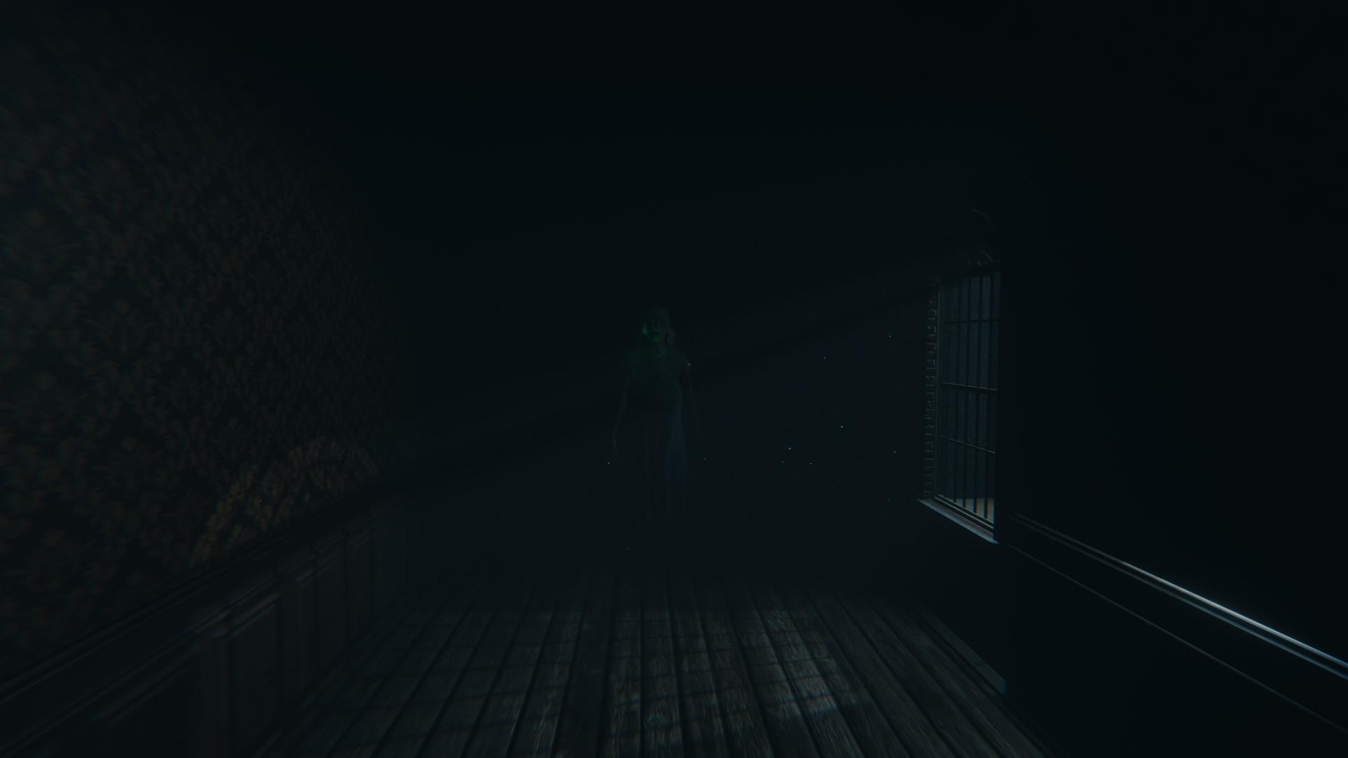 幽灵放逐/Ghost Exile/支持网络联机_5
