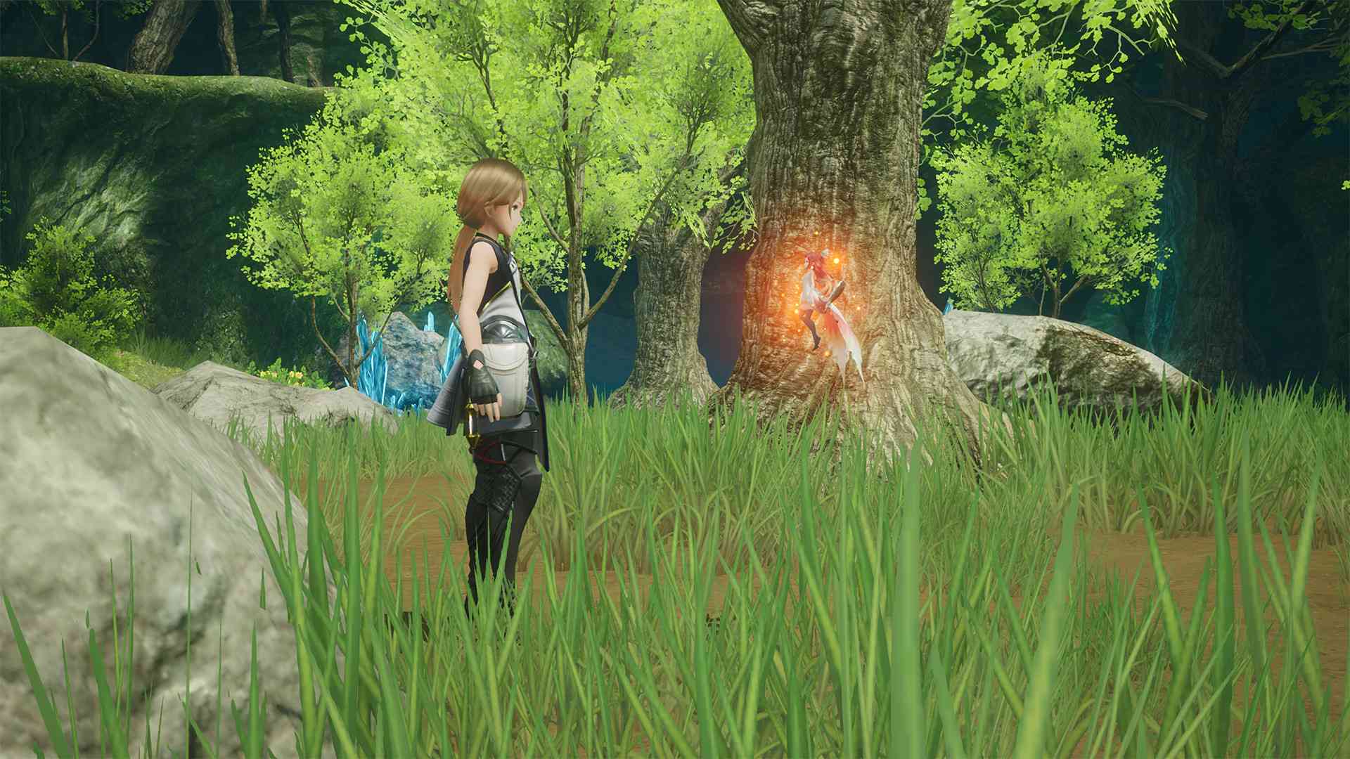 HARVESTELLA_2