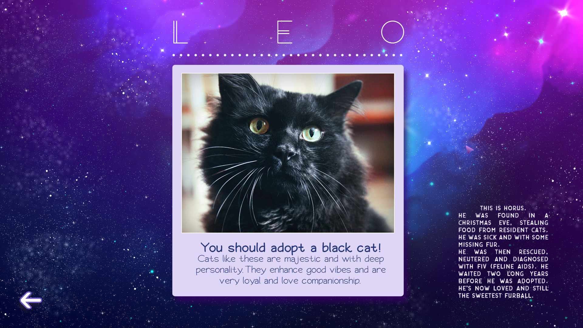 星座猫猫/Zodiacats_5