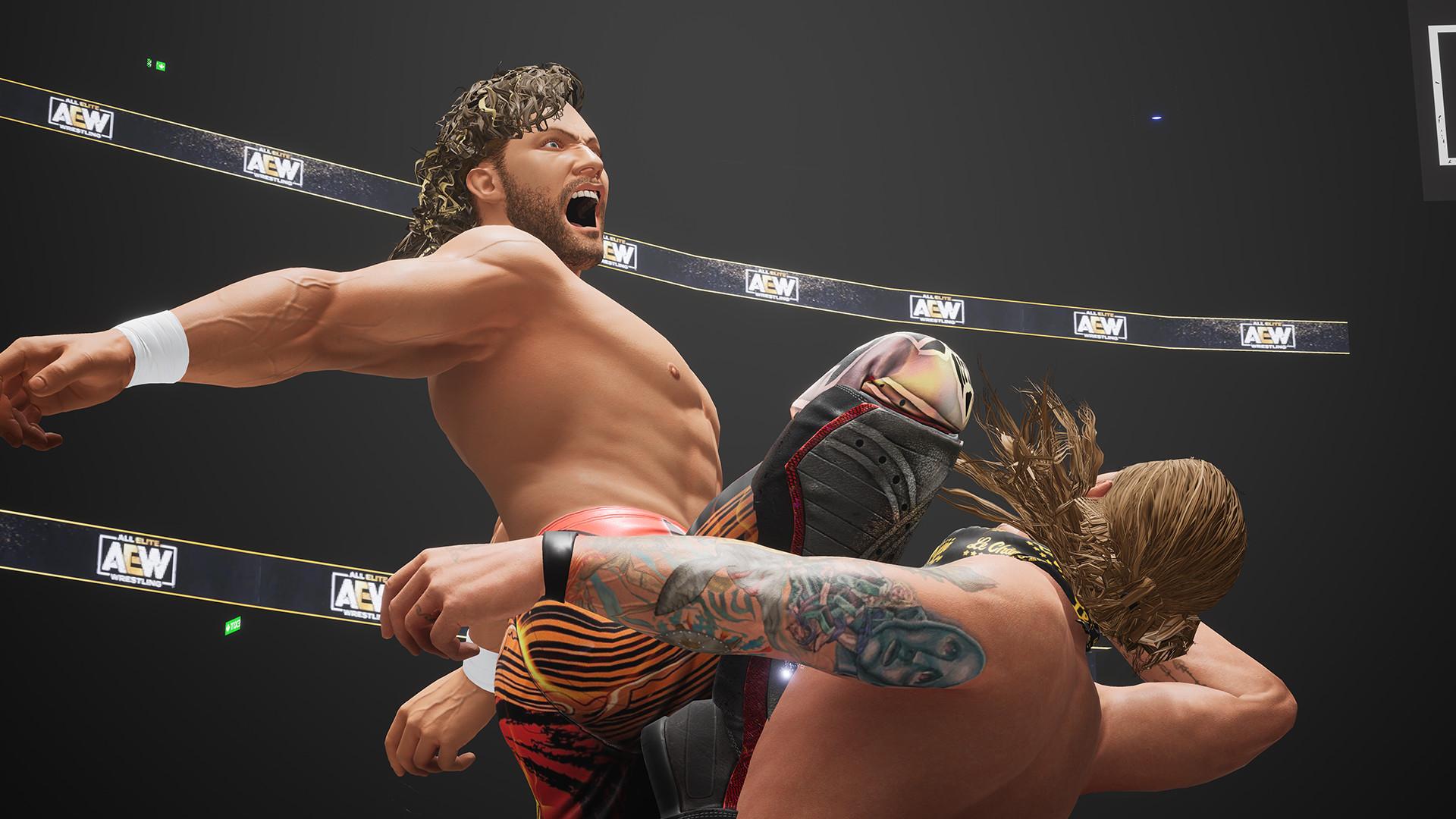 全精英摔角:永远的战斗/AEW: Fight Forever_5