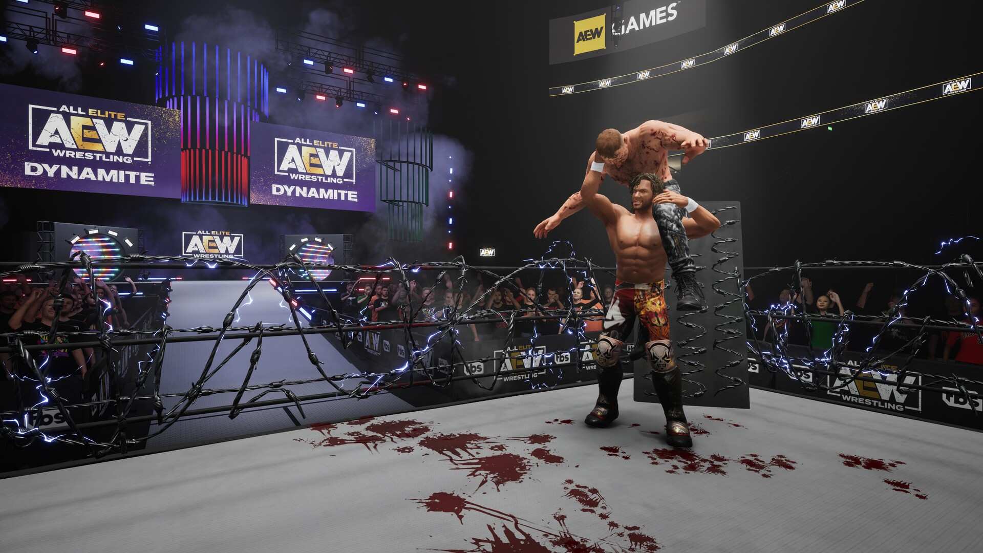 全精英摔角:永远的战斗/AEW: Fight Forever_1