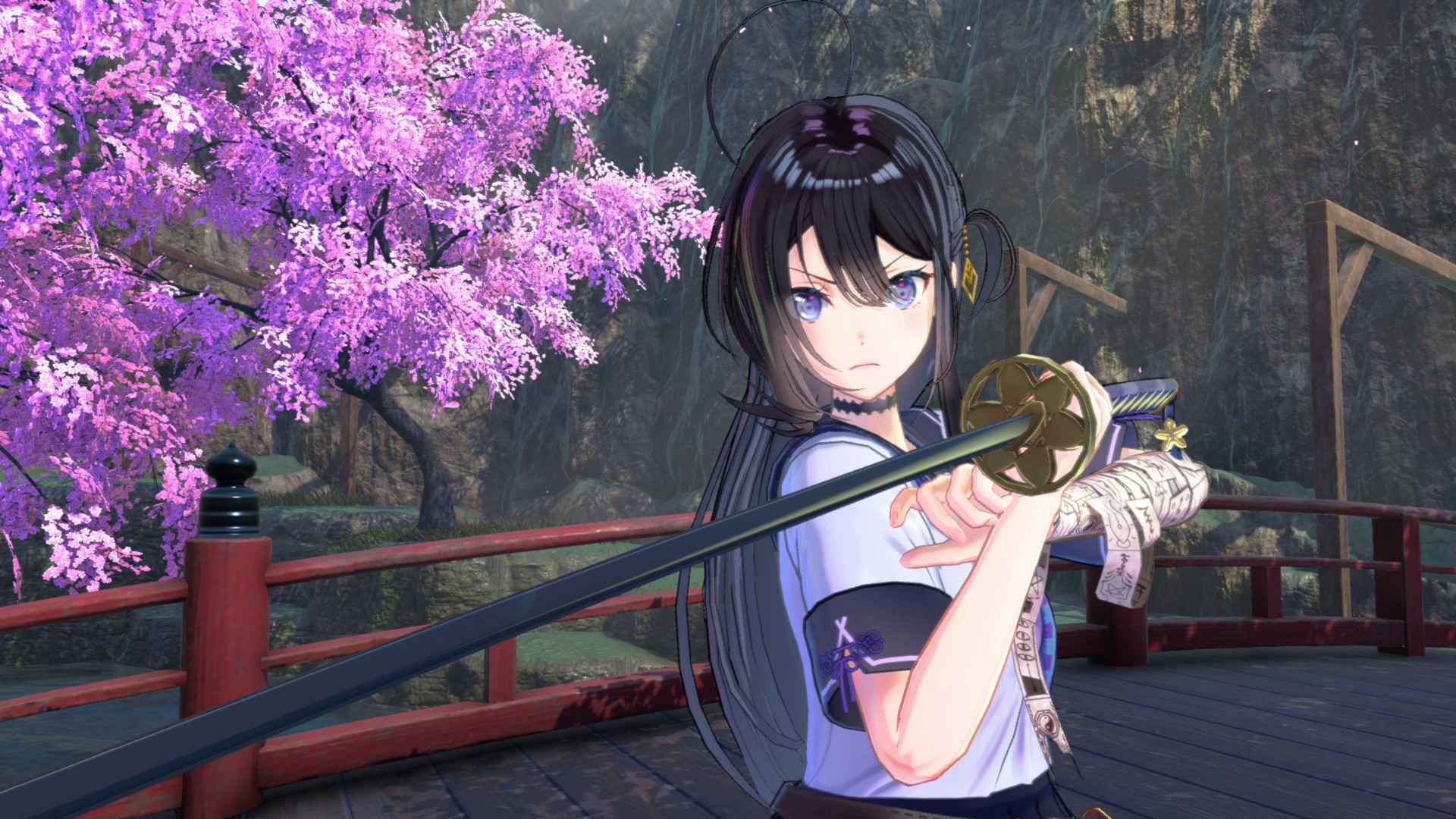 武士少女豪华版/SAMURAI MAIDEN DELUXE EDITION_0