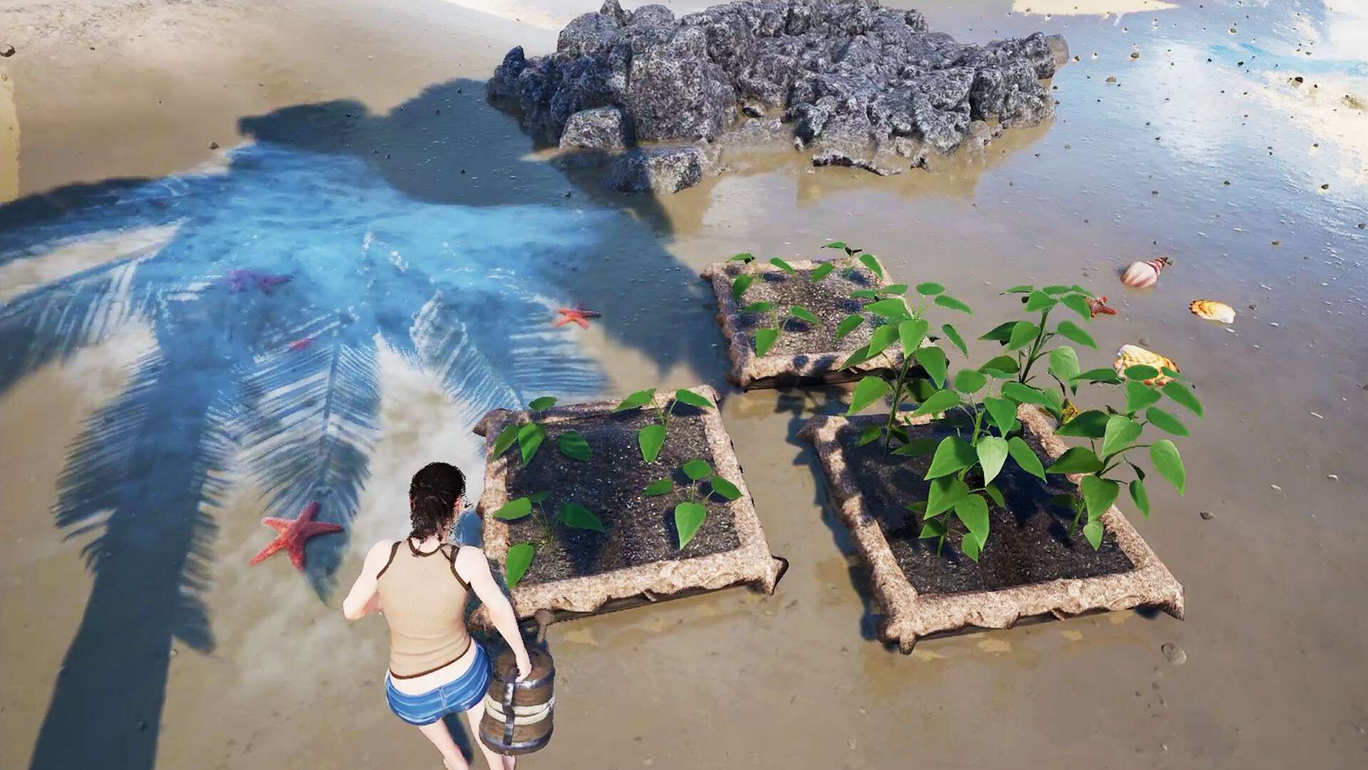 伊甸岛/Eden Island_2