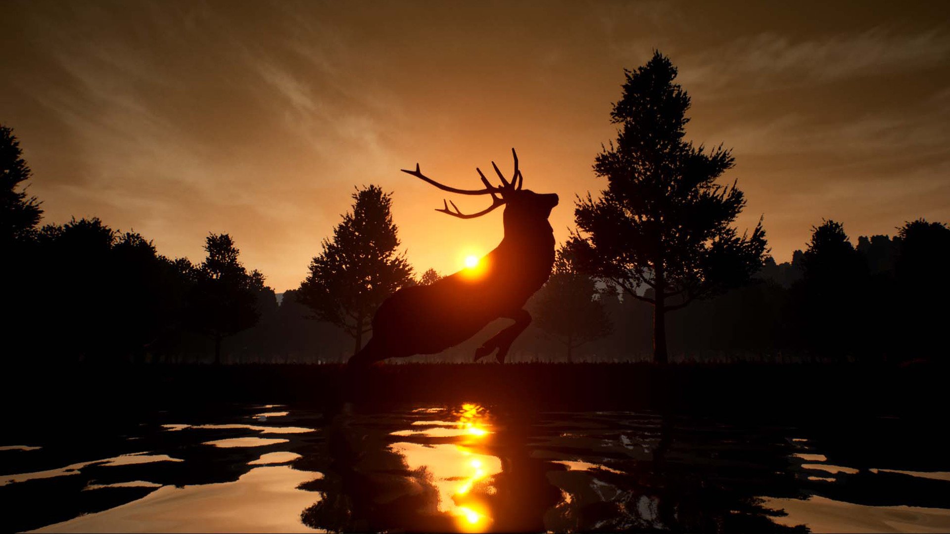 鹿之旅/Deer Journey_0