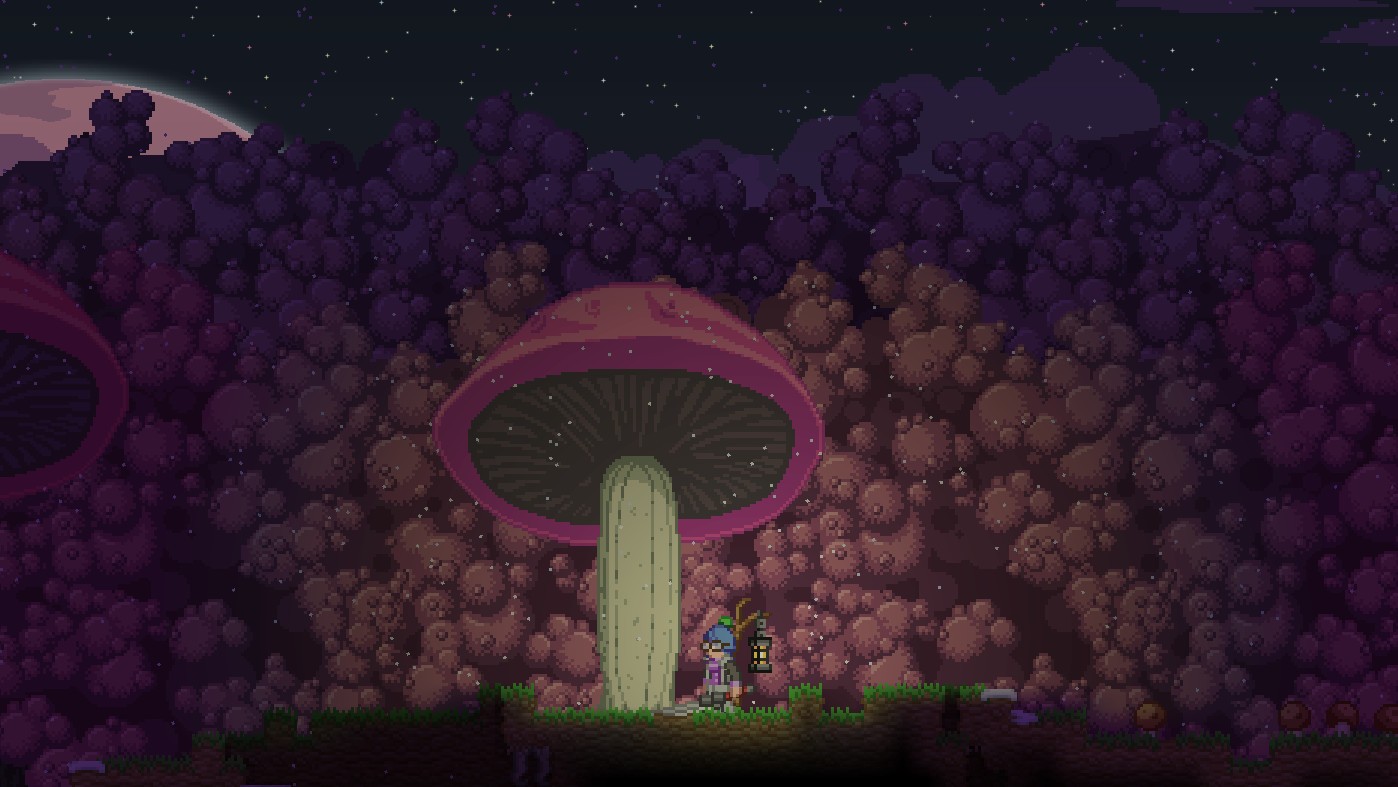 星界边境/Starbound_5