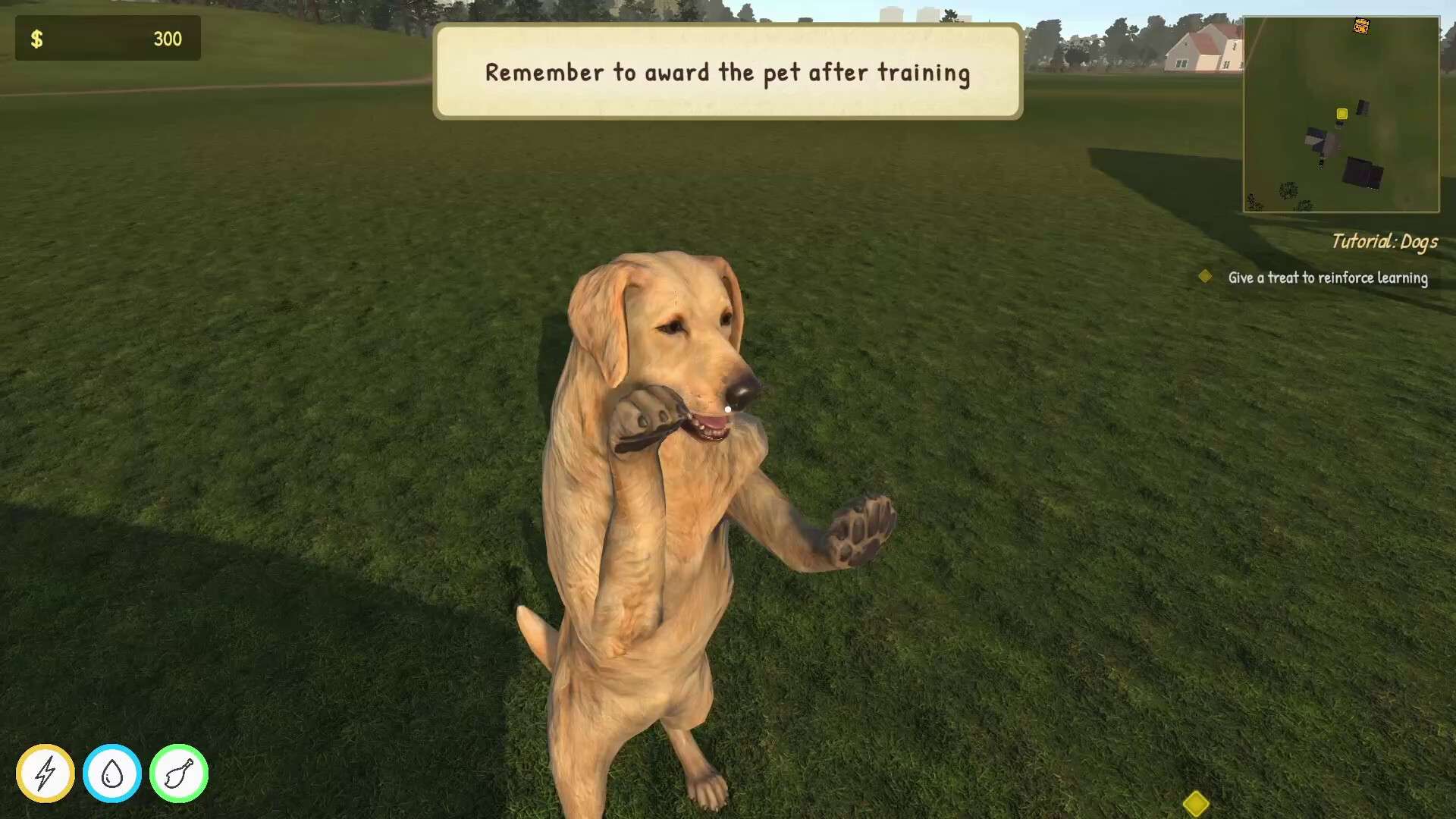 动物训导师模拟器/Animal Trainer Simulator_5