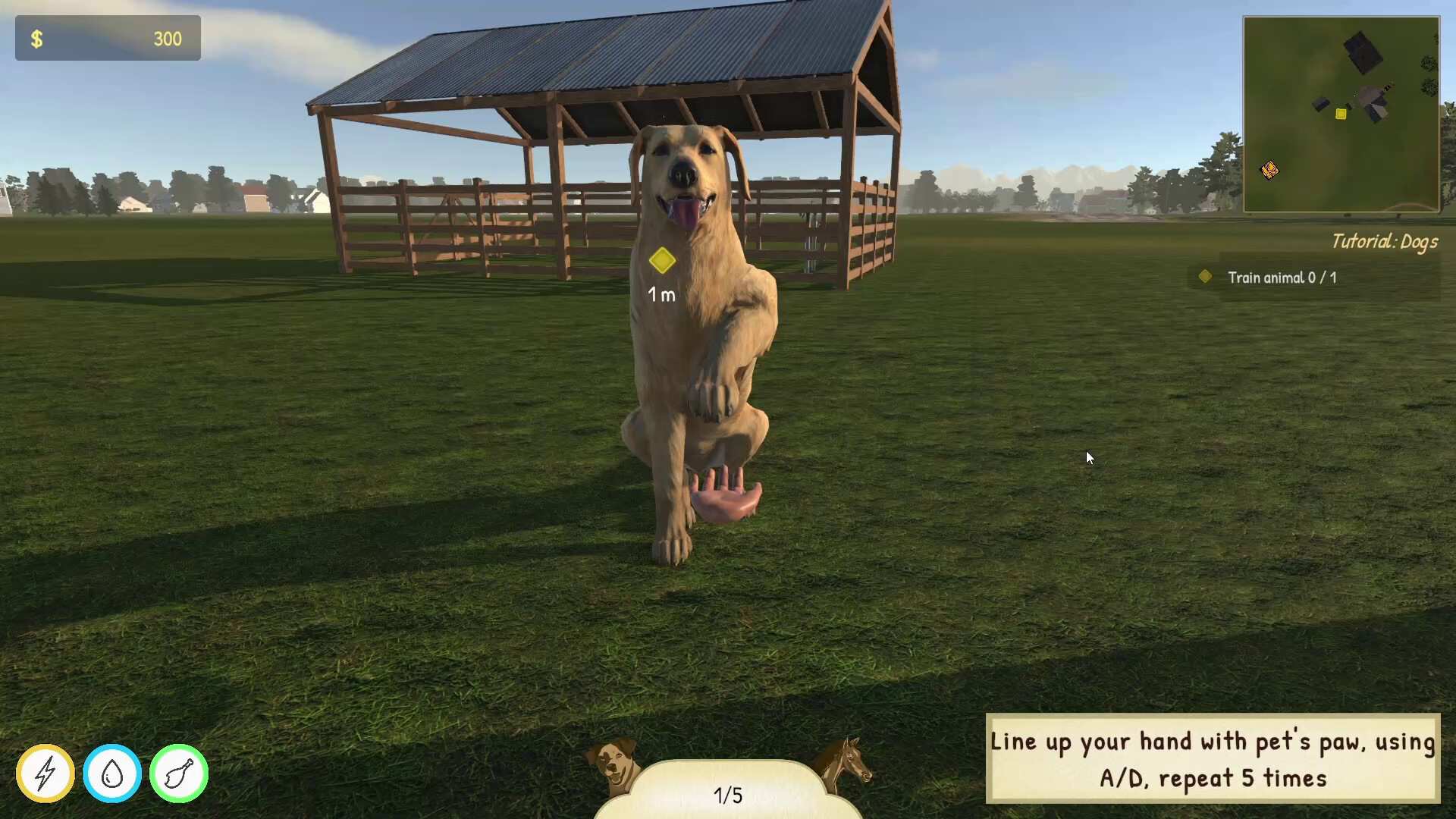 动物训导师模拟器/Animal Trainer Simulator_1