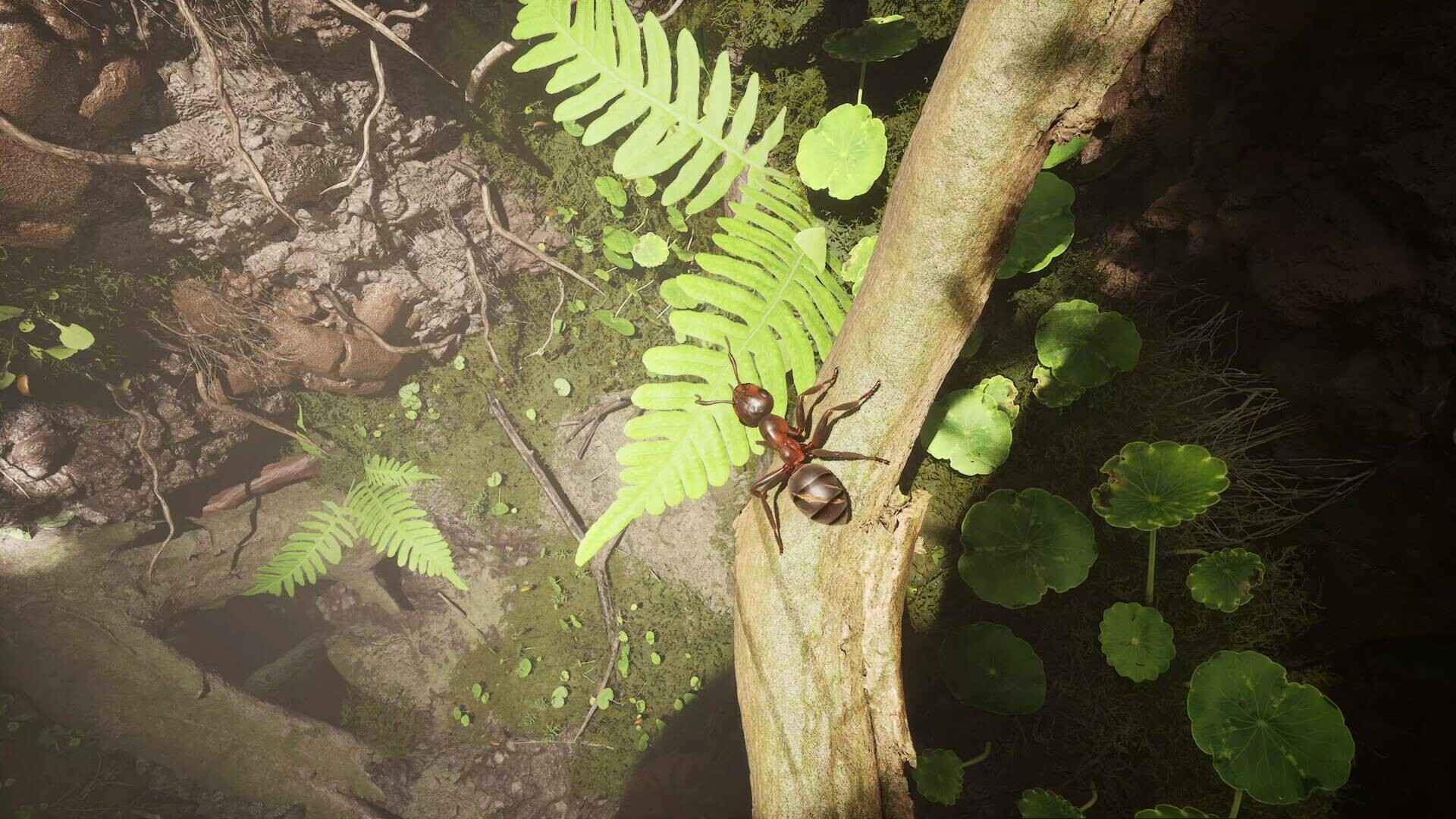 蚂蚁帝国/Empire of the Ants_5