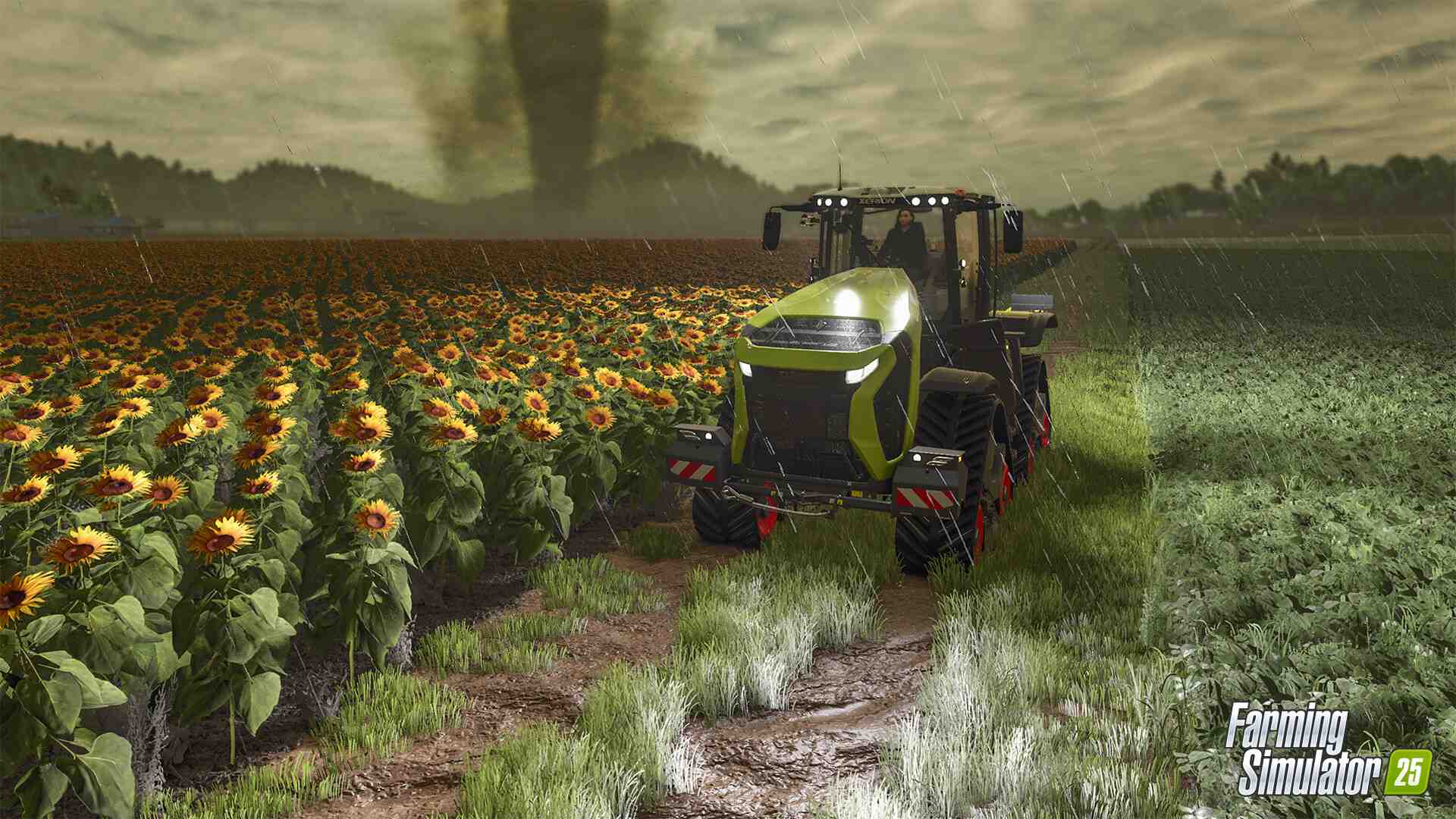 模拟农场25/Farming Simulator 25_2