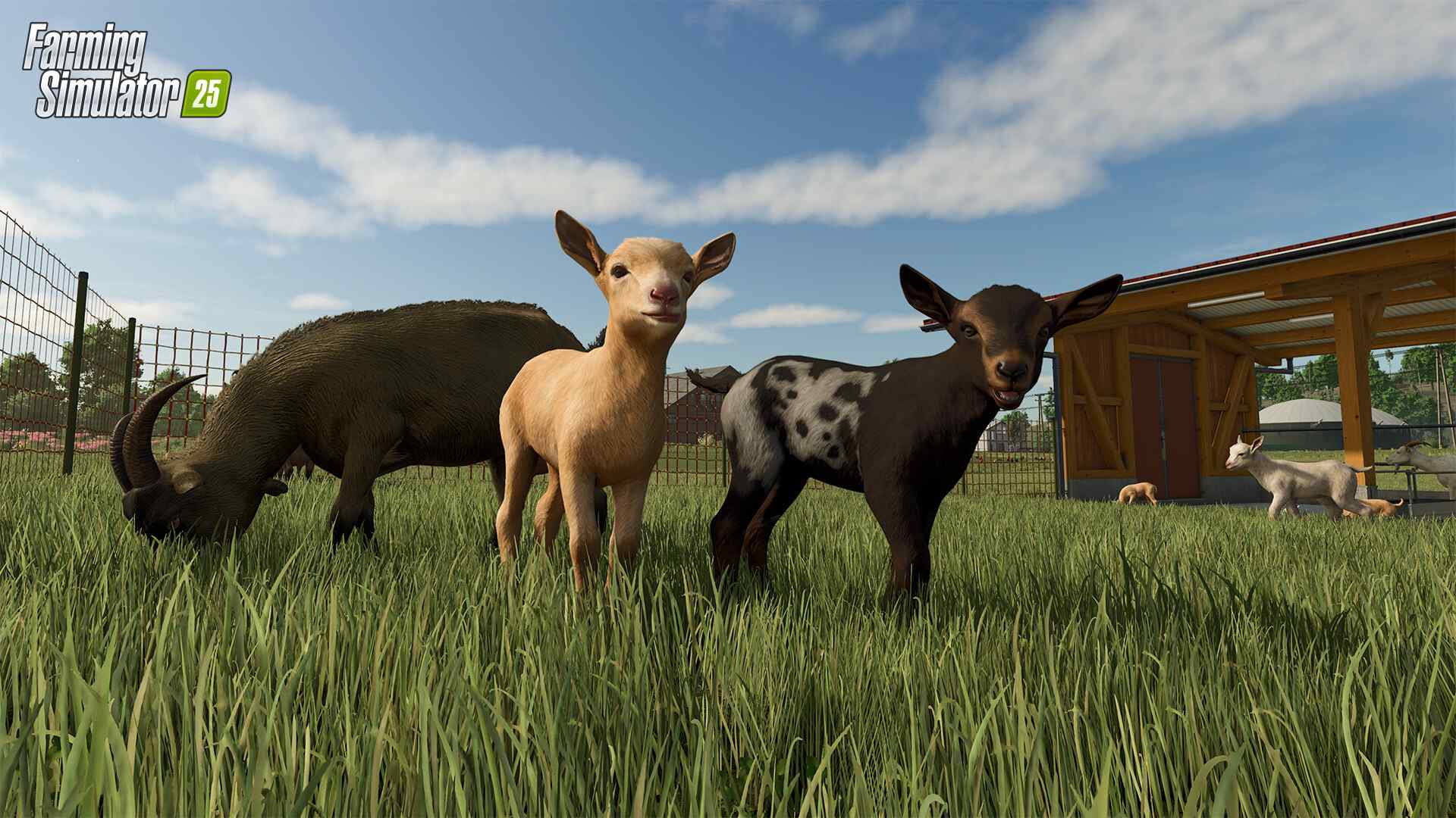 模拟农场25/Farming Simulator 25_3