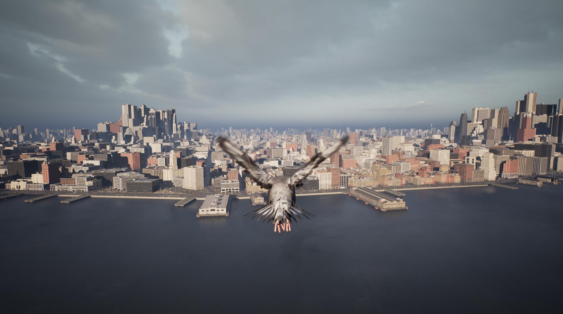 鸽子飞行模拟器/Pigeon Flight Simulator_0