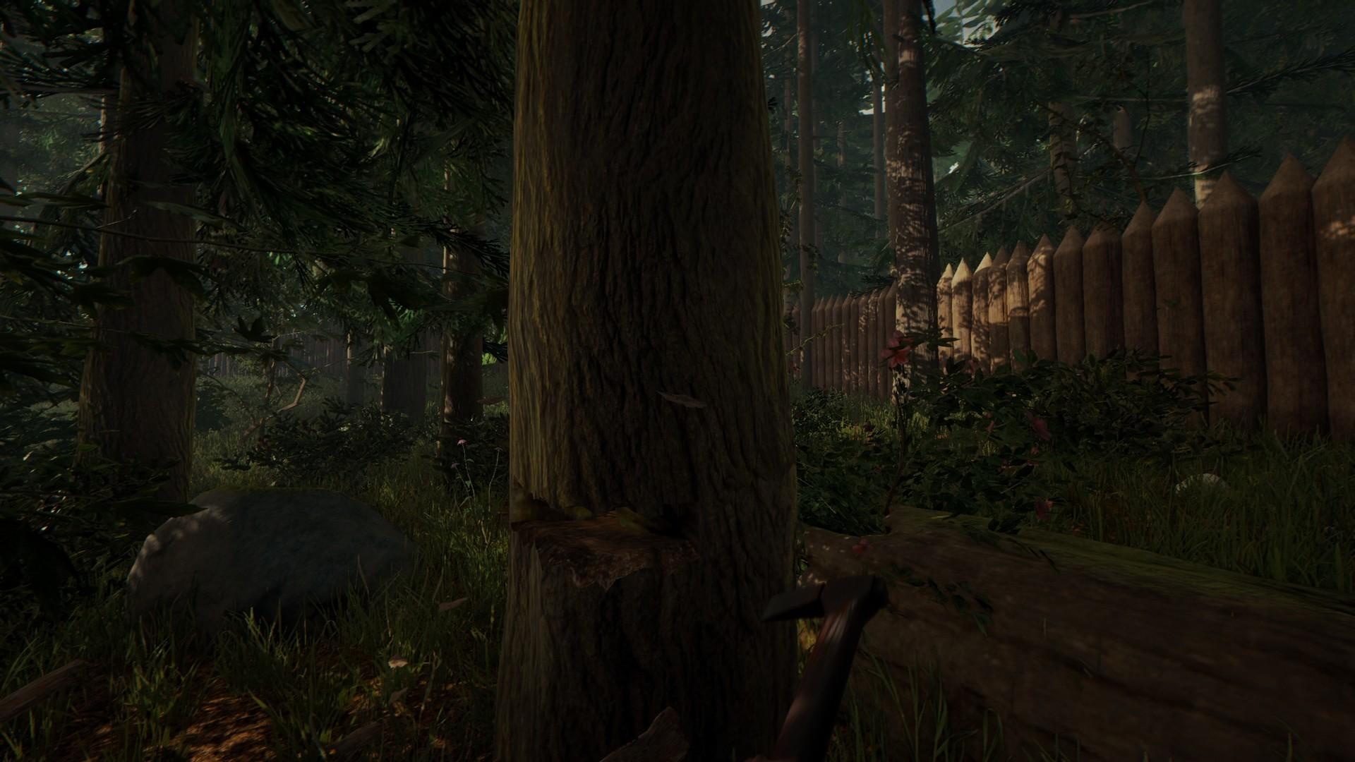 森林/迷失森林/The Forest_6