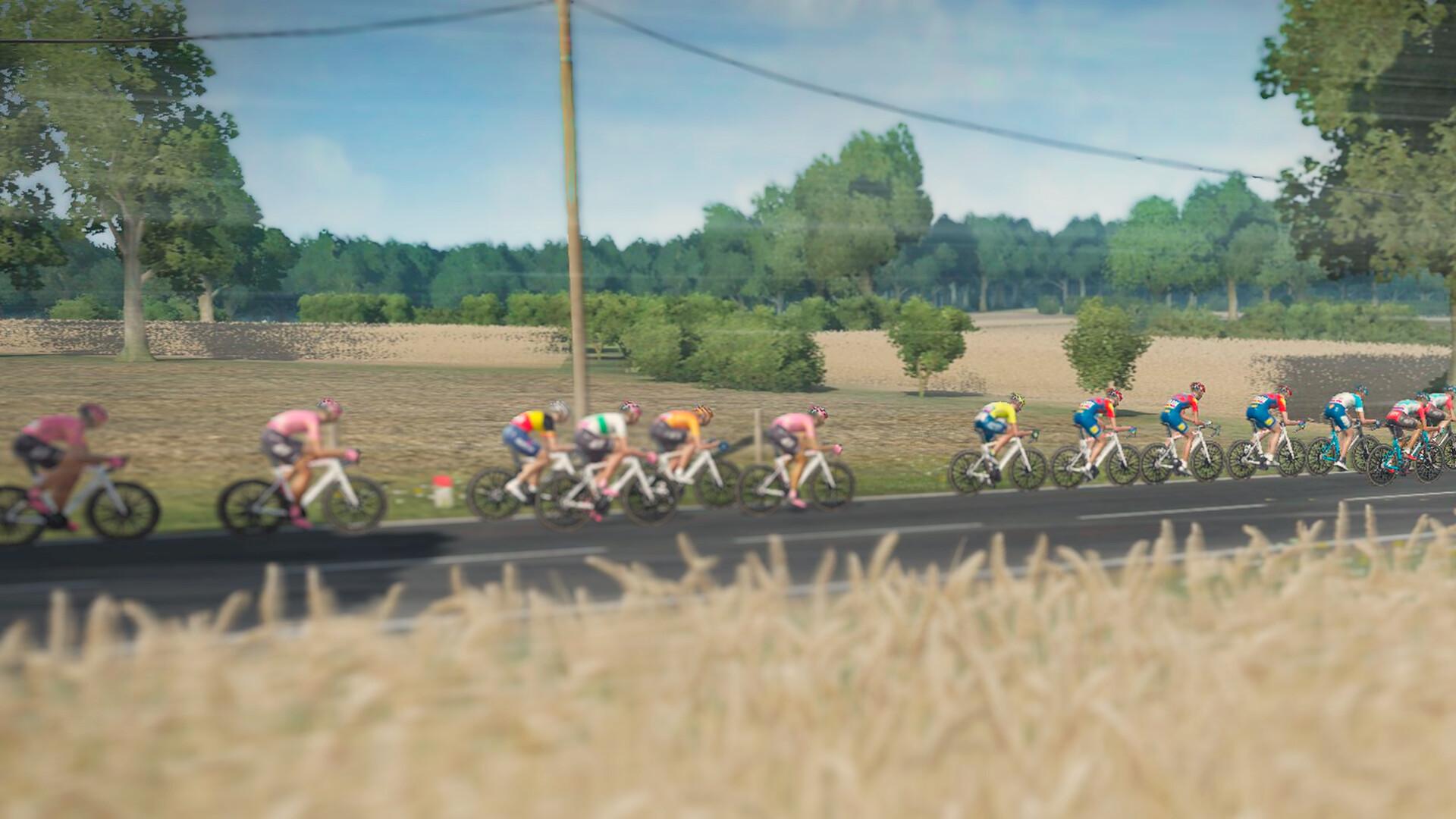 环法自行车赛2024/Tour de France 2024_4