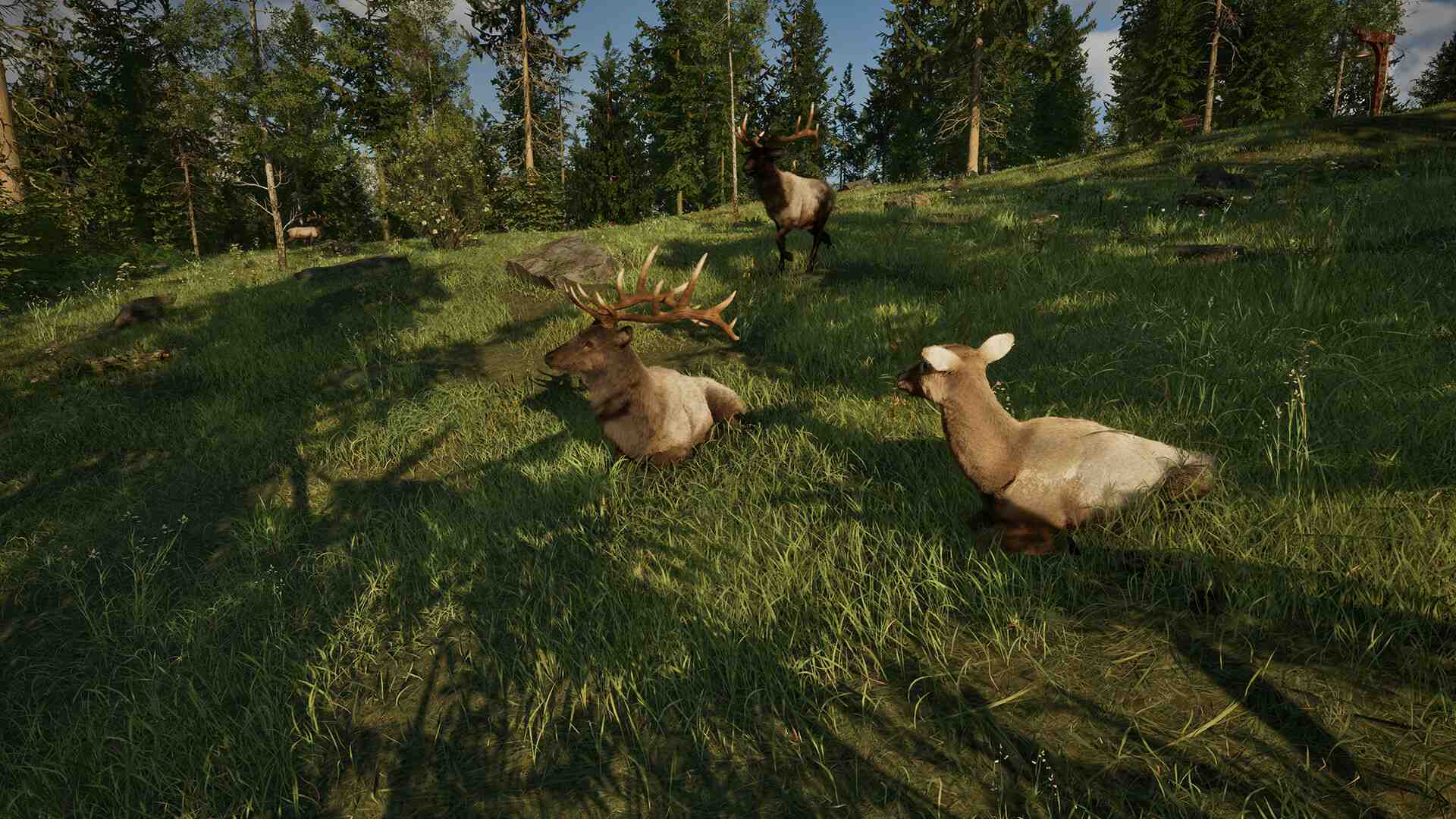 护林员之路:国家公园模拟器/Ranger’s Path: National Park Simulator_5
