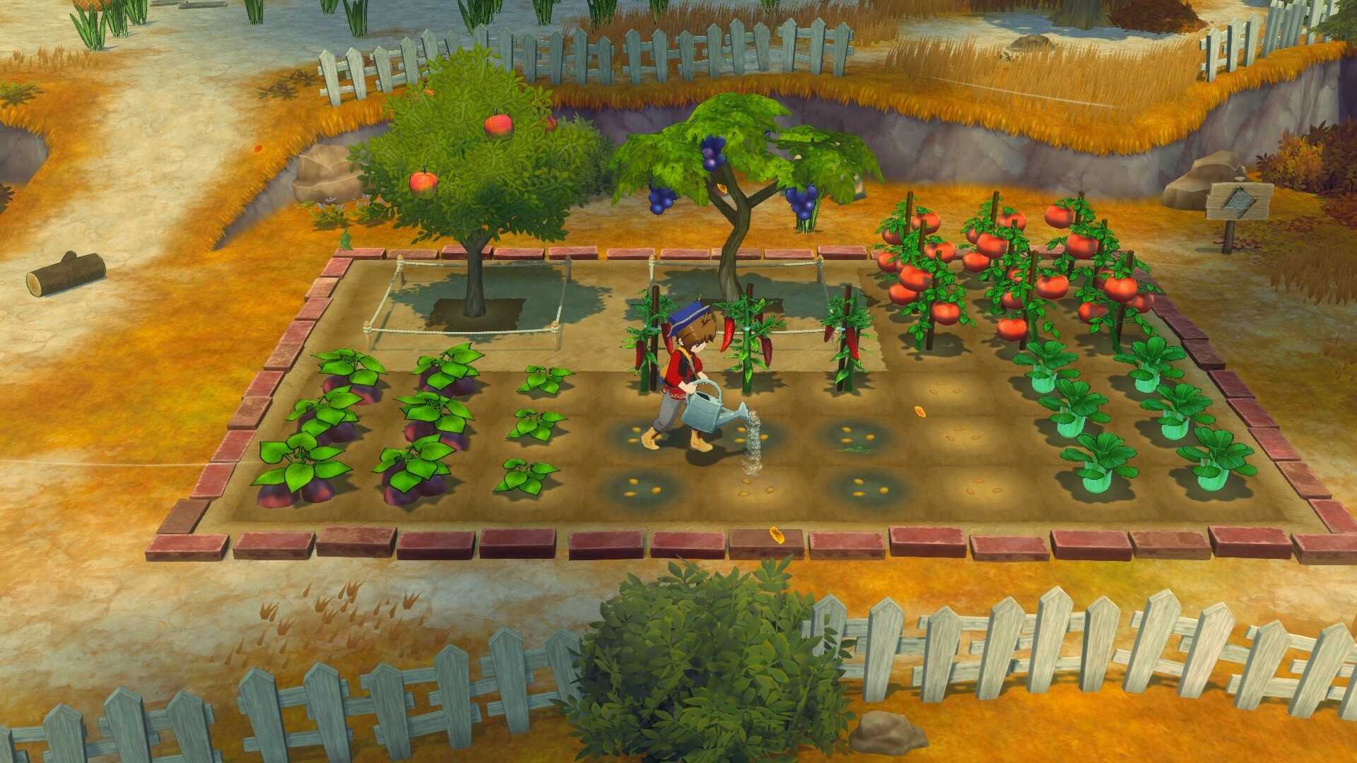 牧场物语 来吧！风之繁华集市/STORY OF SEASONS: Grand Bazaar_0
