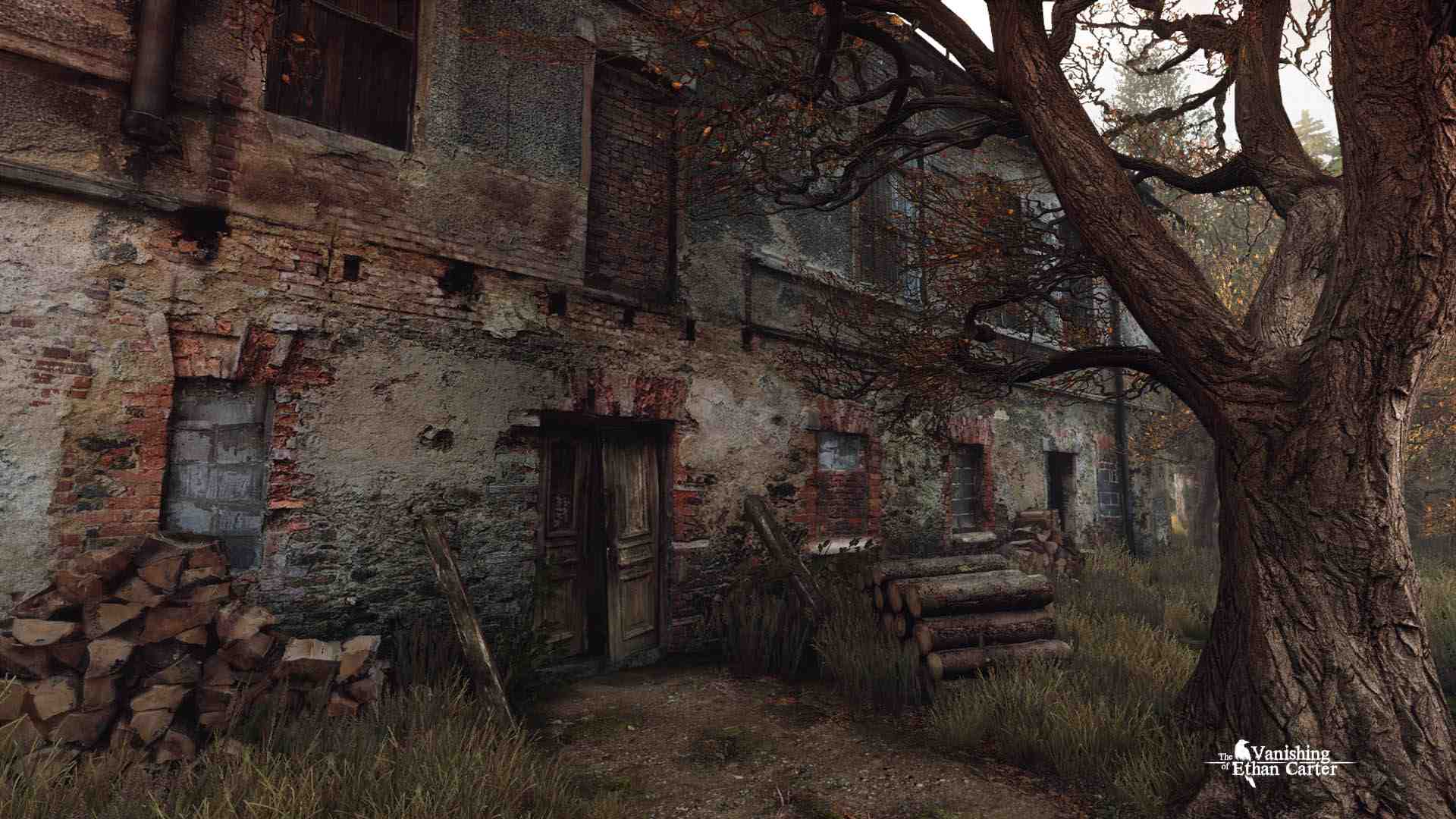 伊森卡特的消失/The Vanishing of Ethan Carter_1