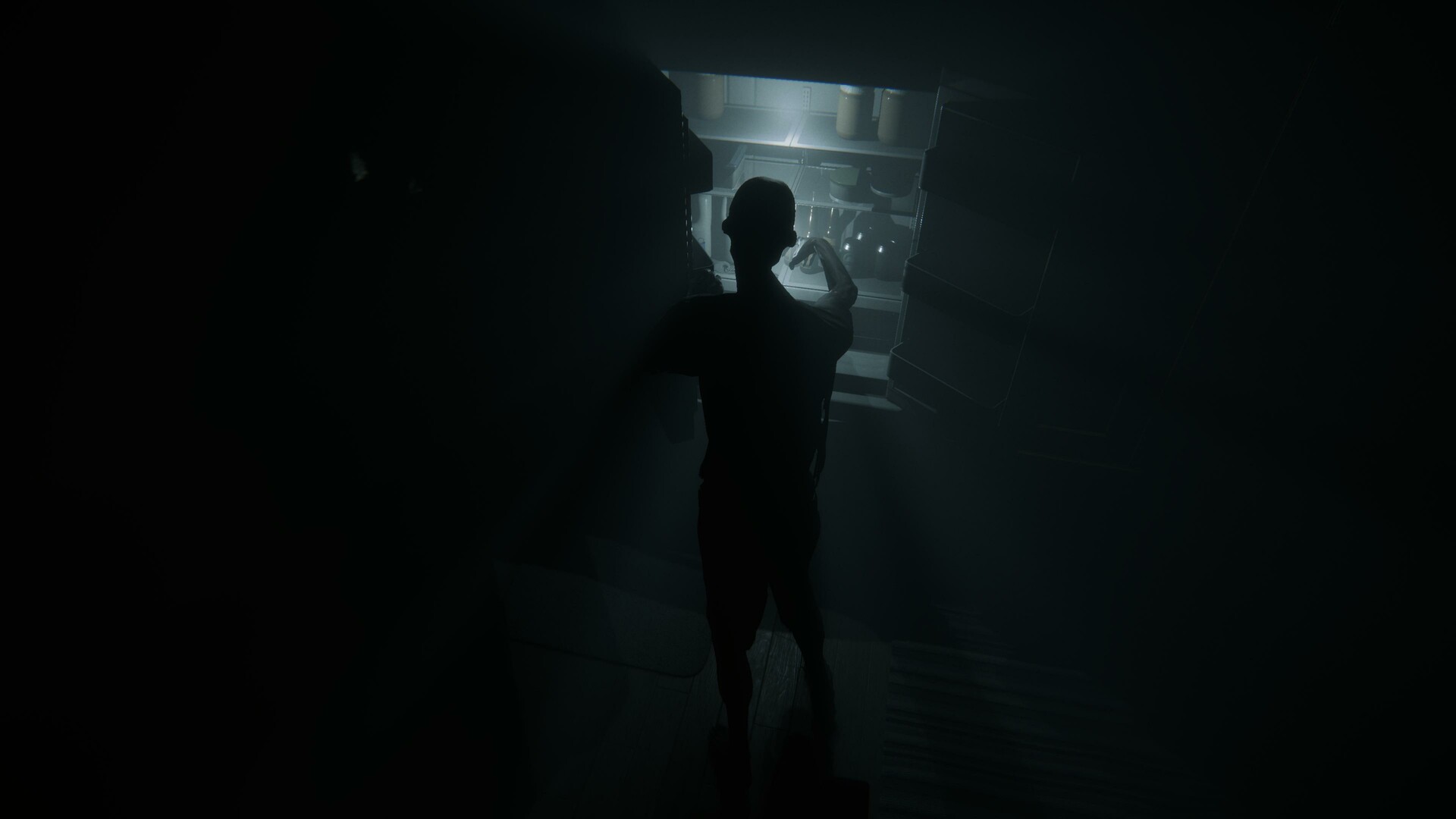 夜之林/Night Grove_2