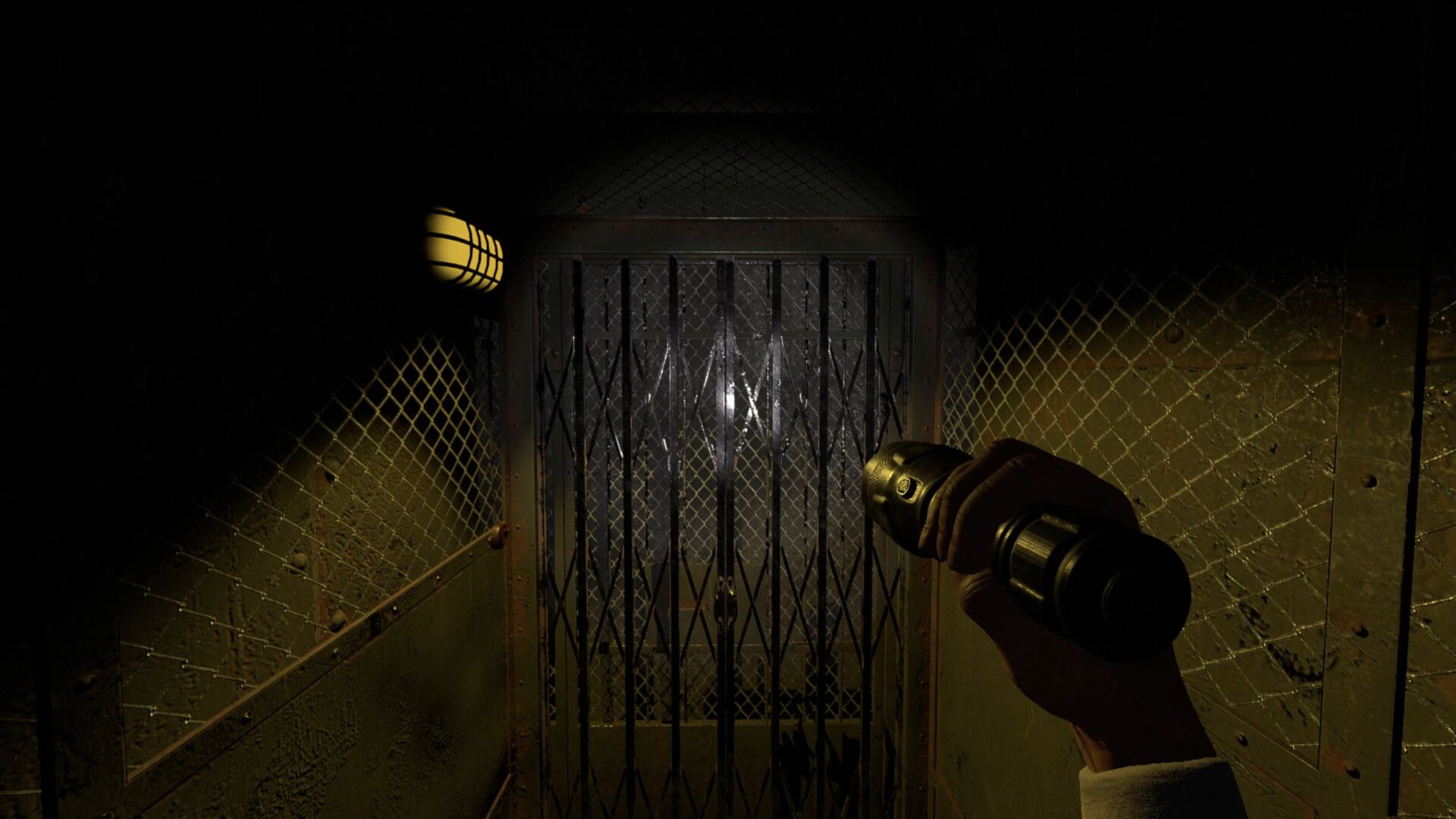 疯人院噩梦/Asylum Nightmares_0