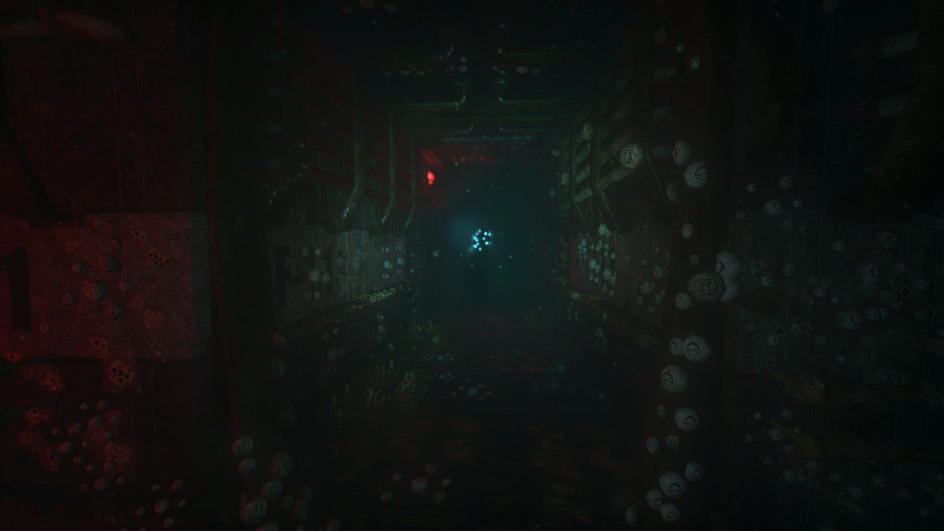活体脑细胞/SOMA_7