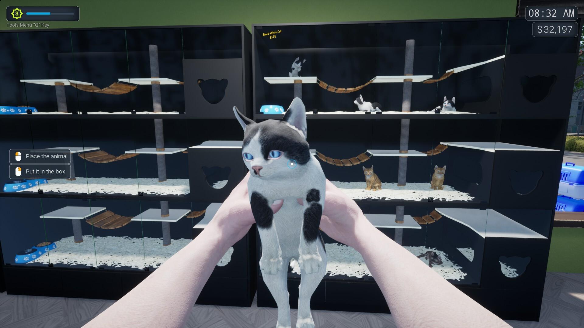 异域风情2:宠物店模拟器/Exotica 2: Pet Shop Simulator_0