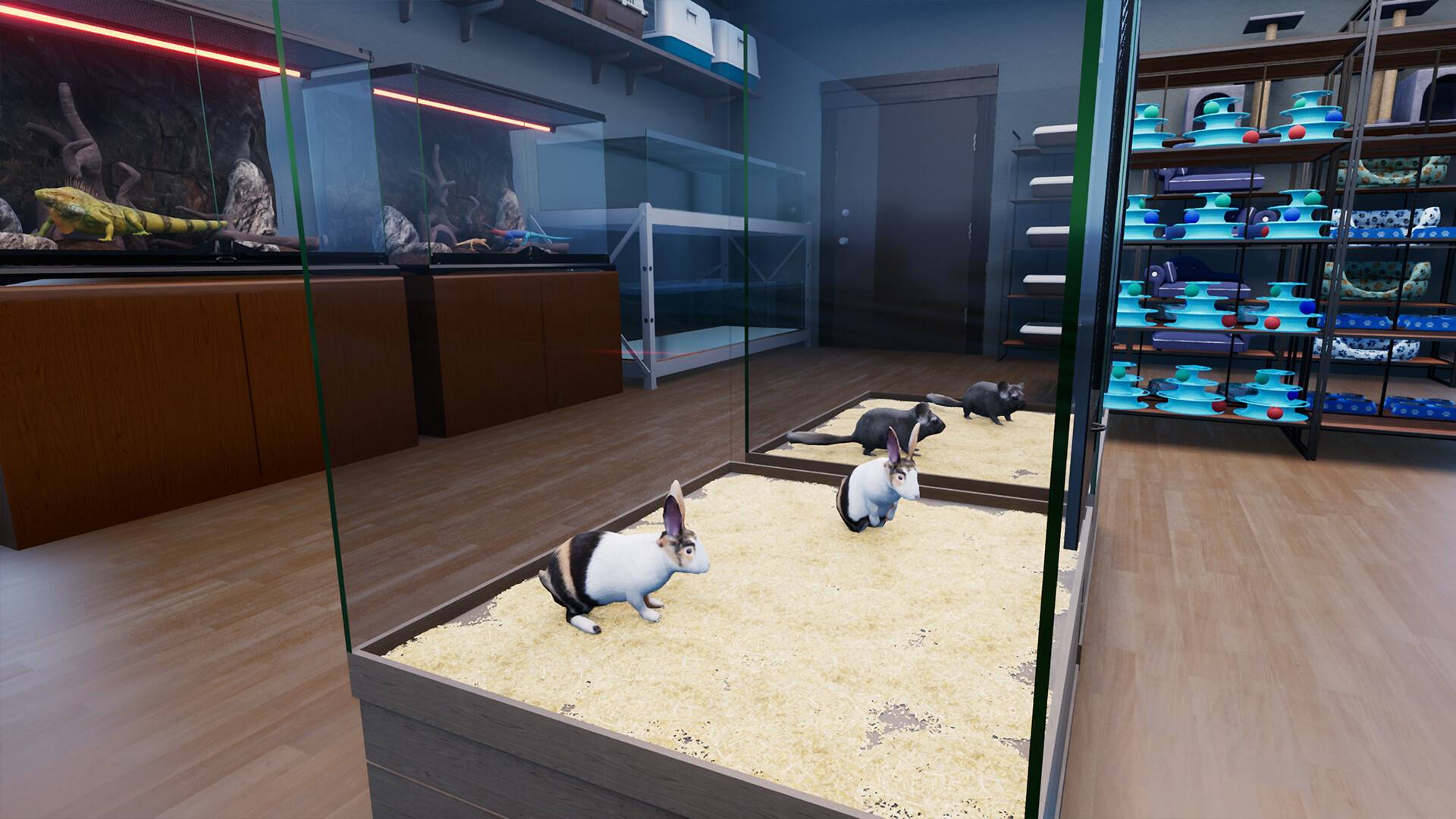 异域风情2:宠物店模拟器/Exotica 2: Pet Shop Simulator_1