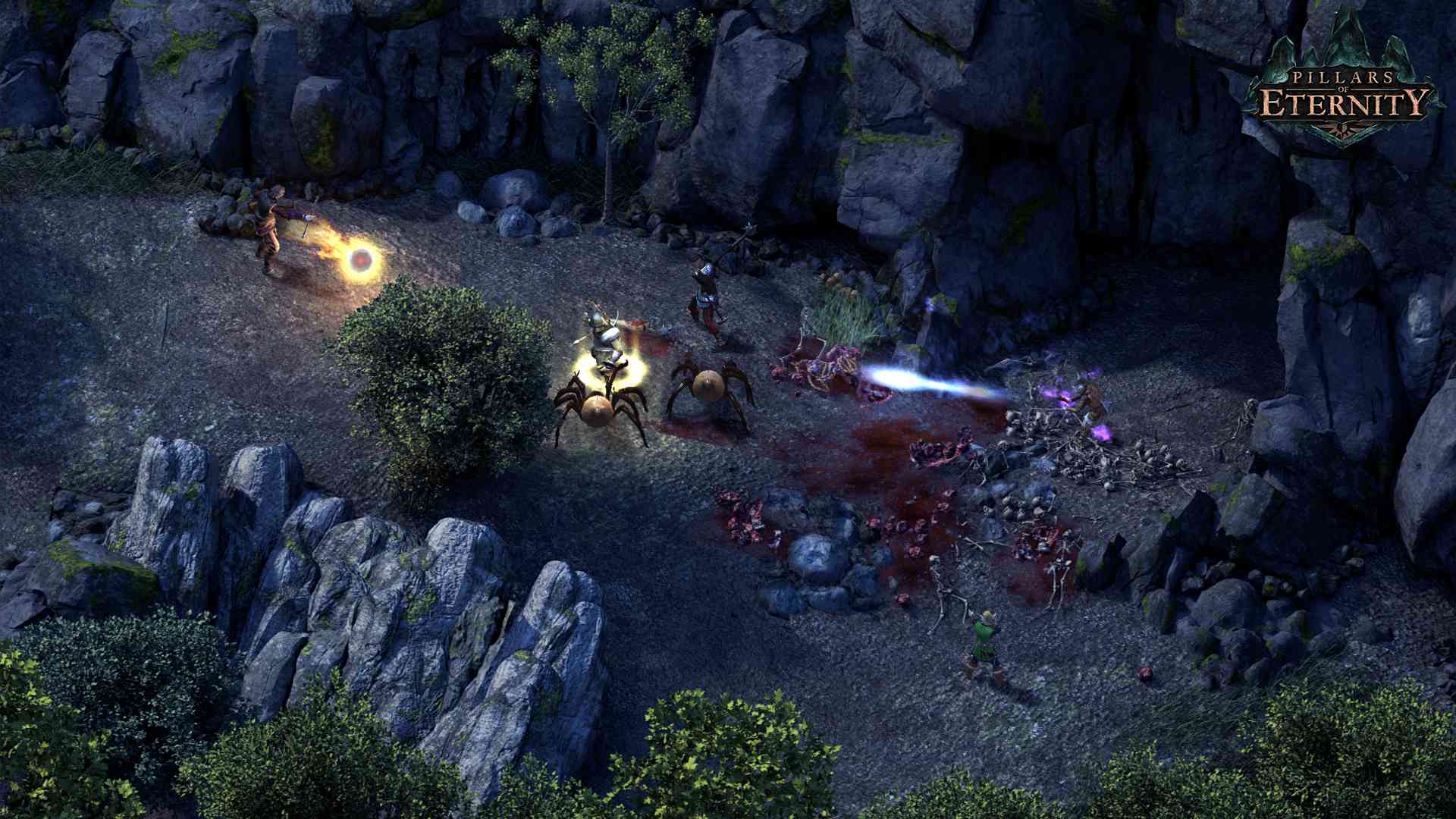 永恒之柱/Pillars of Eternity_3