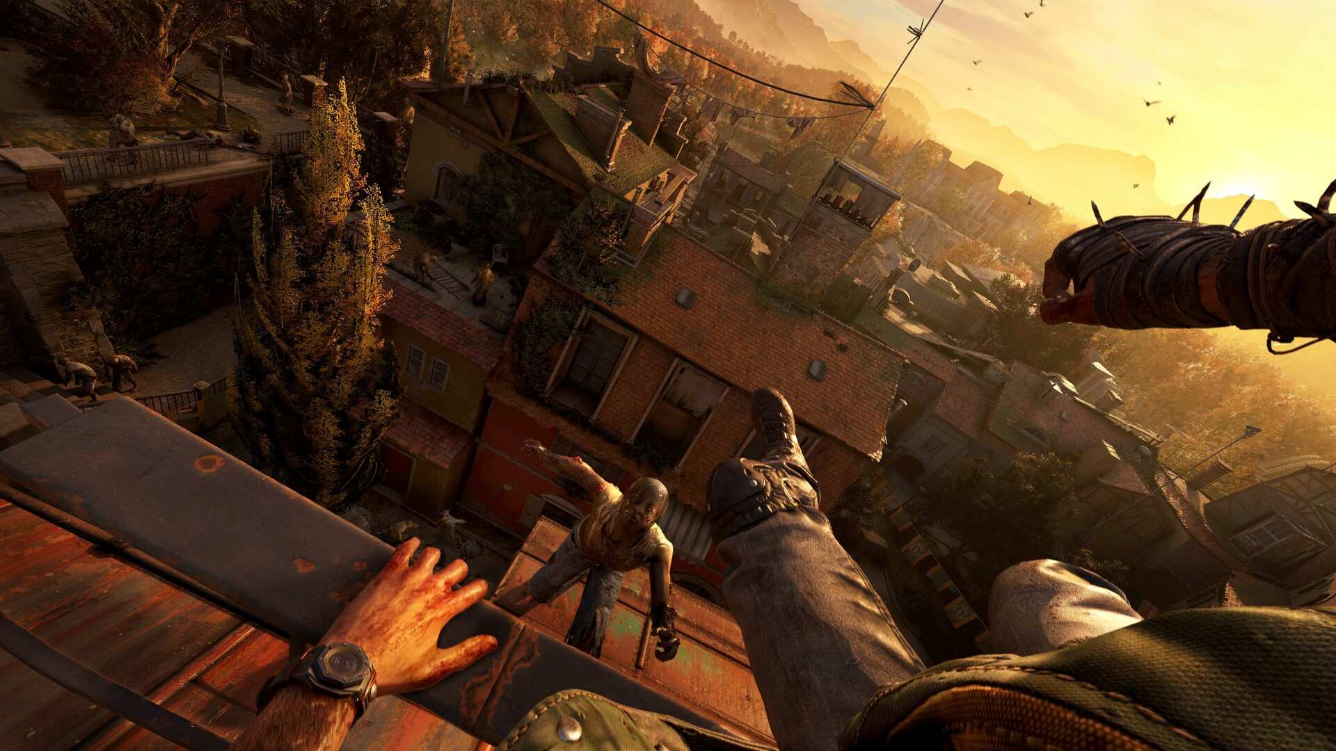 消逝的光芒:困兽/Dying Light: The Beast/支持网络联机_5