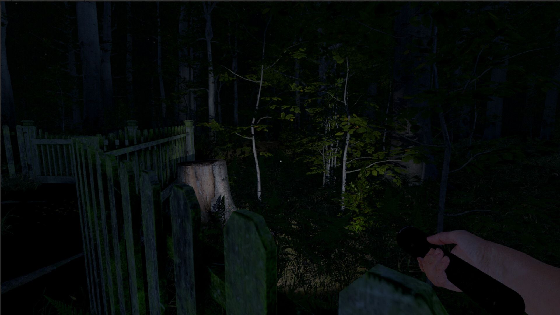 灰人:人类绑架/The Greys: Human Abductions_0