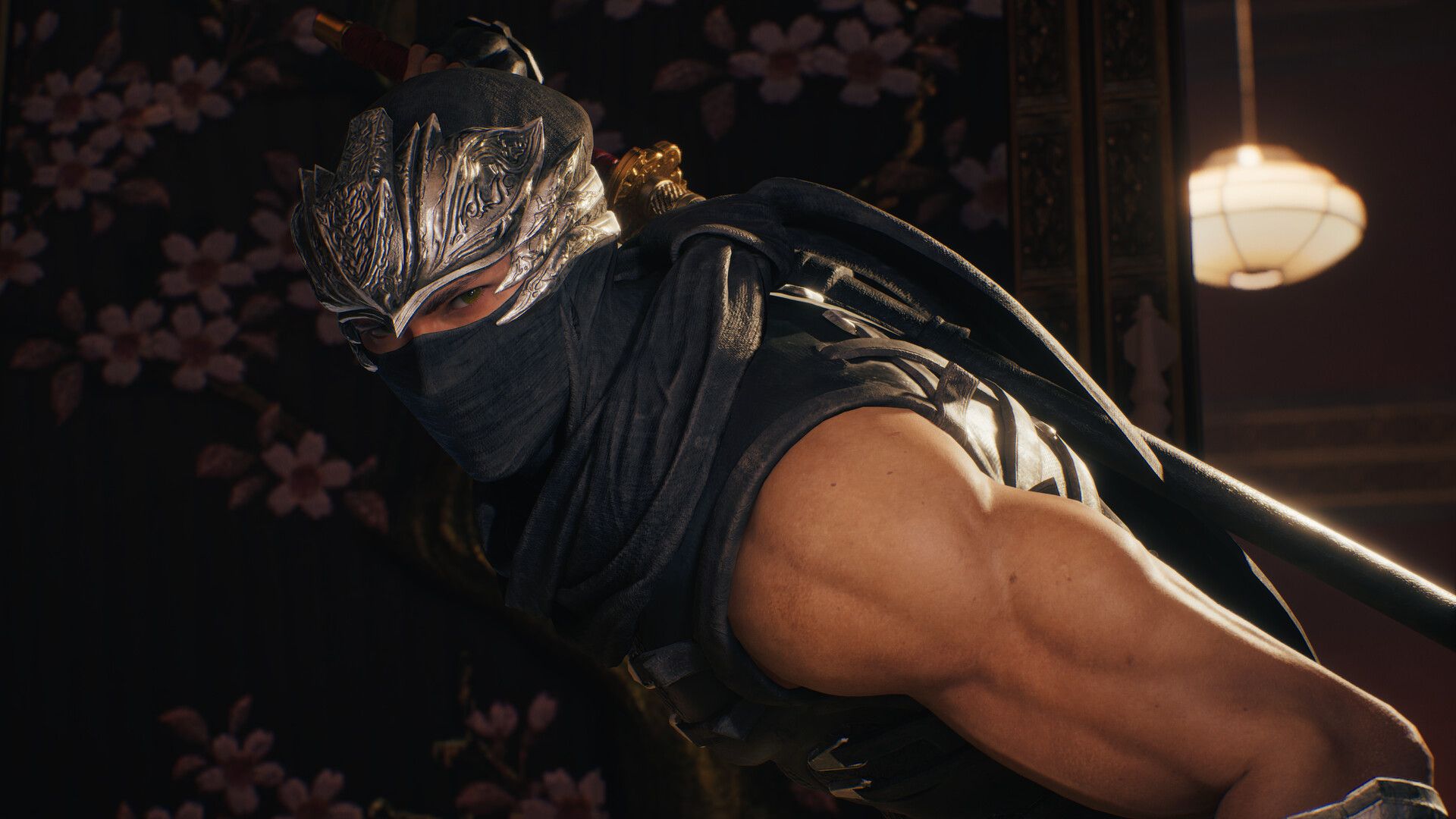 忍者龙剑传2:黑之章/NINJA GAIDEN 2 Black_3