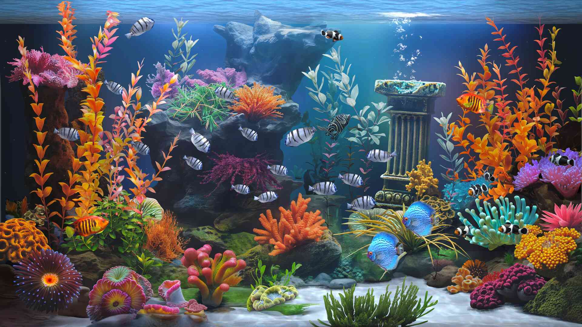 禅意水族馆/Zen Aquarium_4