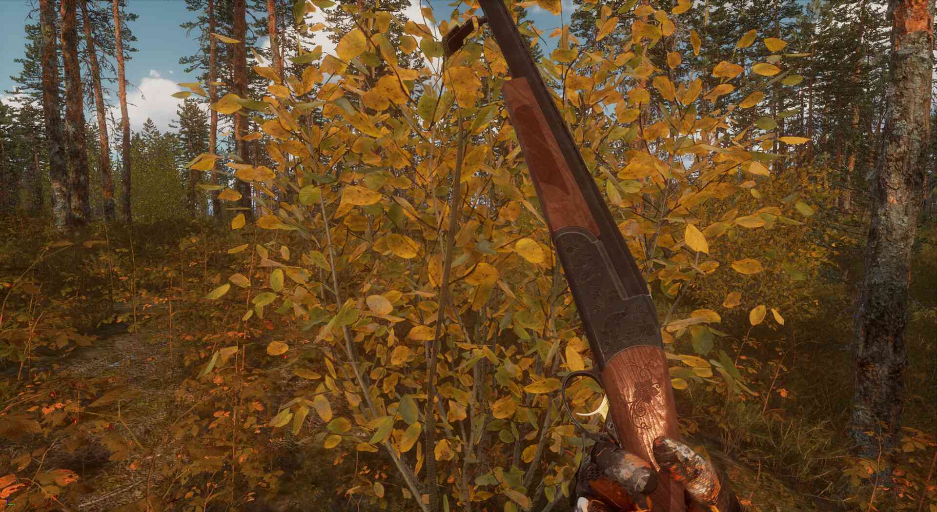 BULT:狩猎模拟器/BULT: Hunting simulator_5