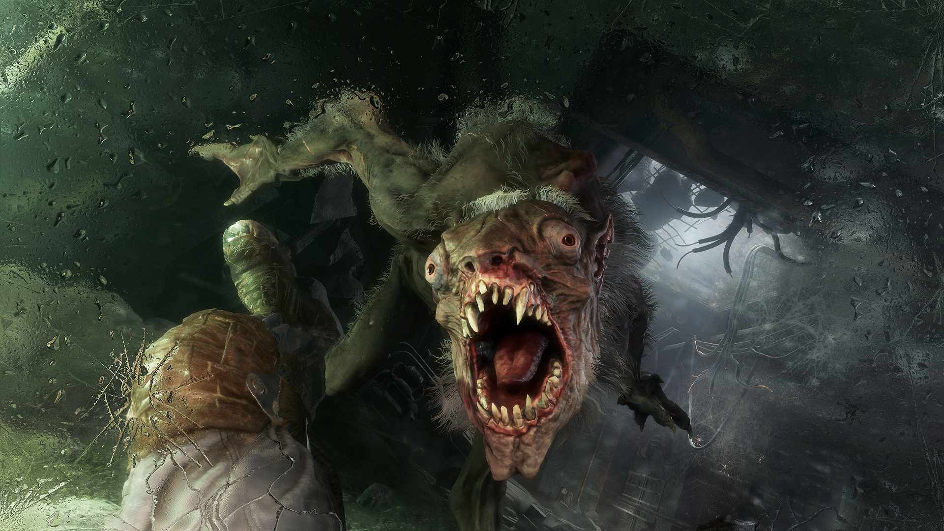 地铁:离去/地铁:逃离/Metro Exodus Enhanced Edition_5